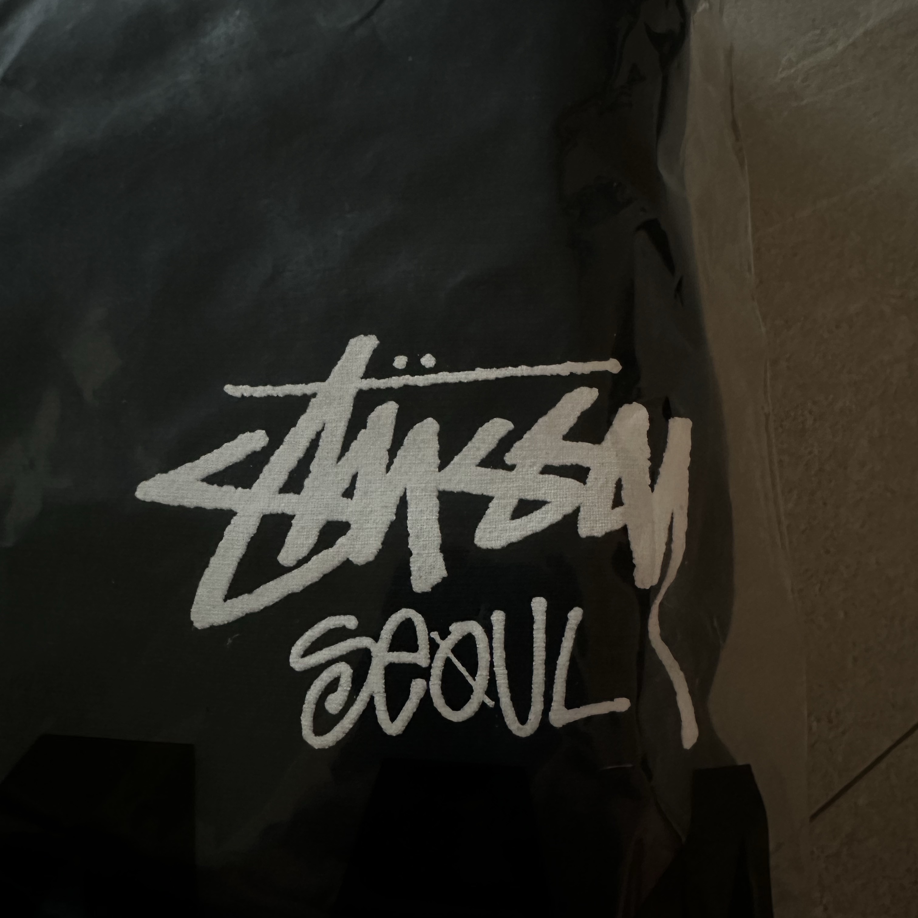 Stussy Stock Seoul Zip Hood Black 착용 스타일