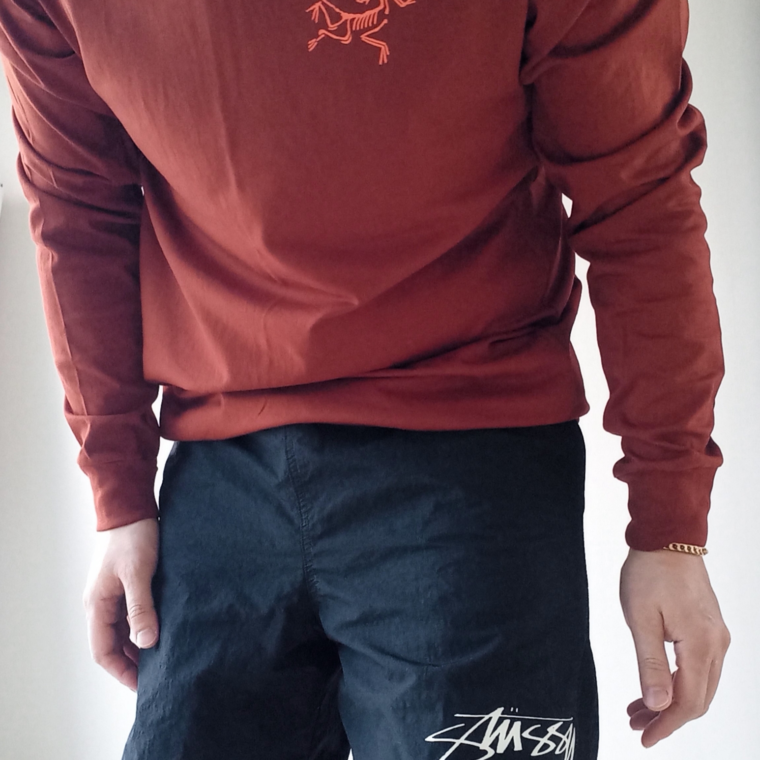 Arc'teryx Arc'Multi Bird Logo LS T-Shirt Sequoia Solaris, Nike x Stussy Shorts Black (FJ9167-010) 착용 스타일 - 2