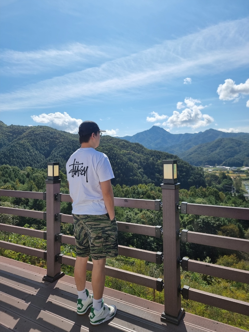 Jordan 11 Retro Low Snake Light Bone, Stussy Basic Stussy T-Shirt White 2024, 2025 착용 스타일 - 2