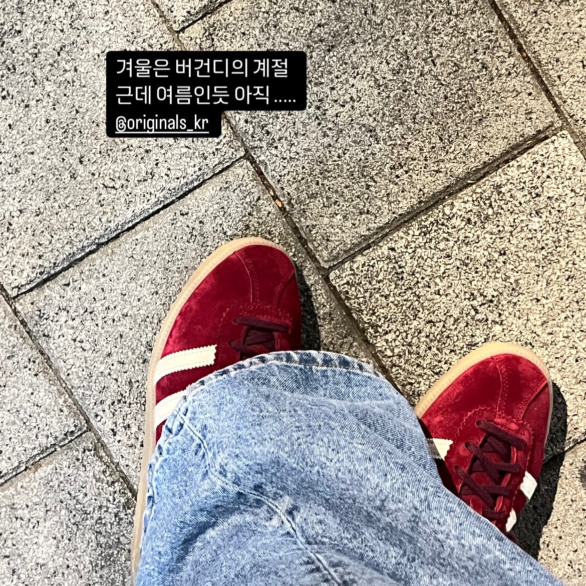 Adidas Bermuda College Burgundy 착용 스타일