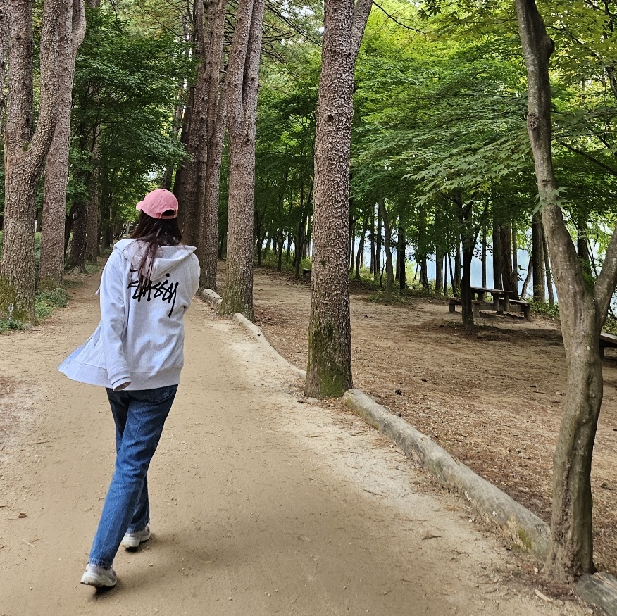 Stussy Basic Stussy Zip Hoodie Ash Heather 착용 스타일