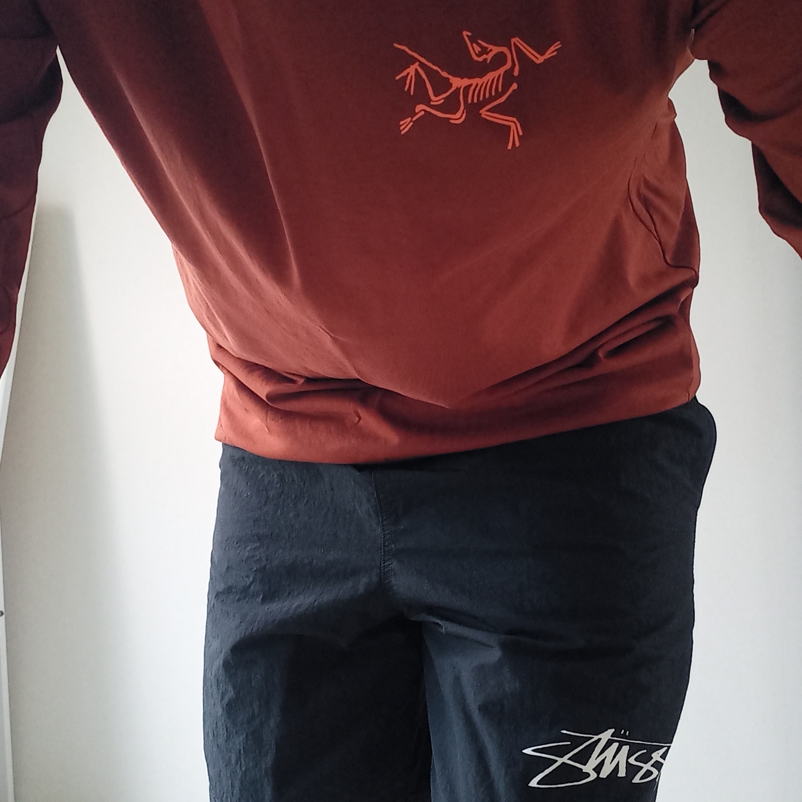 Arc'teryx Arc'Multi Bird Logo LS T-Shirt Sequoia Solaris, Nike x Stussy Shorts Black (FJ9167-010) 착용 스타일 - 3