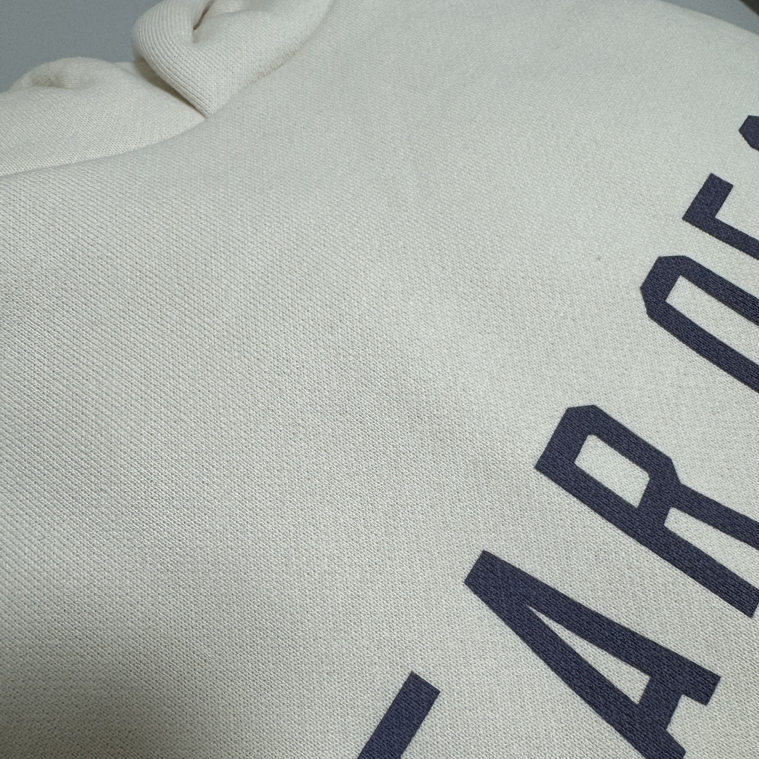 Essentials Fleece State Hoodie Shell - 24FW 착용 스타일