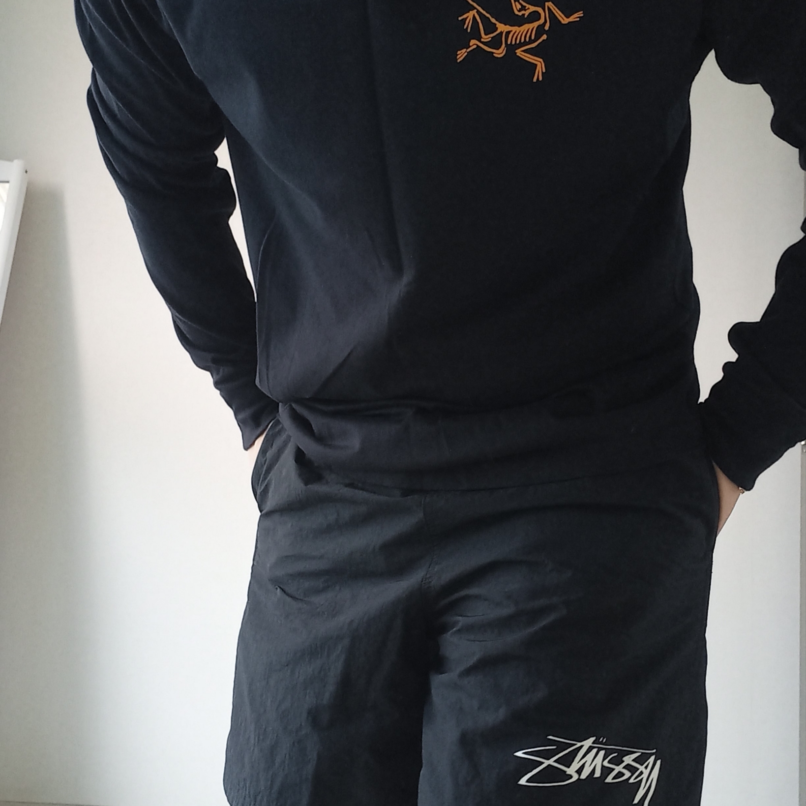 Arc'teryx Arc'Multi Bird Logo LS T-Shirt Black, Nike x Stussy Shorts Black (FJ9167-010) 착용 스타일 - 3