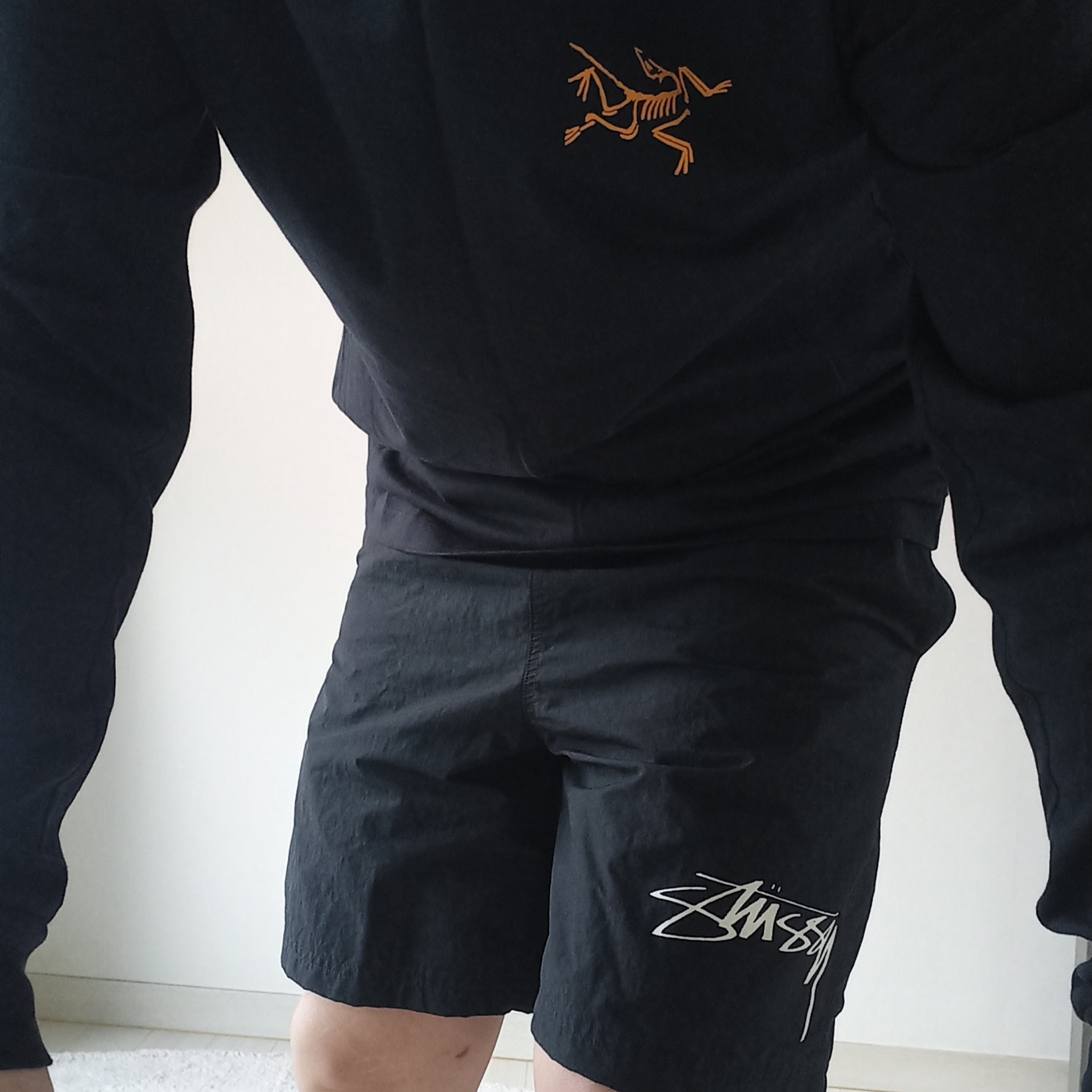 Arc'teryx Arc'Multi Bird Logo LS T-Shirt Black, Nike x Stussy Shorts Black (FJ9167-010) 착용 스타일 - 2