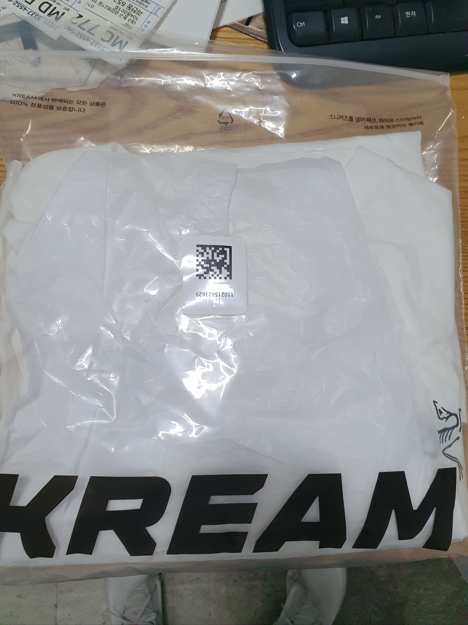 Arc'teryx Arc'Multi Bird Logo LS T-Shirt White Light 착용 스타일