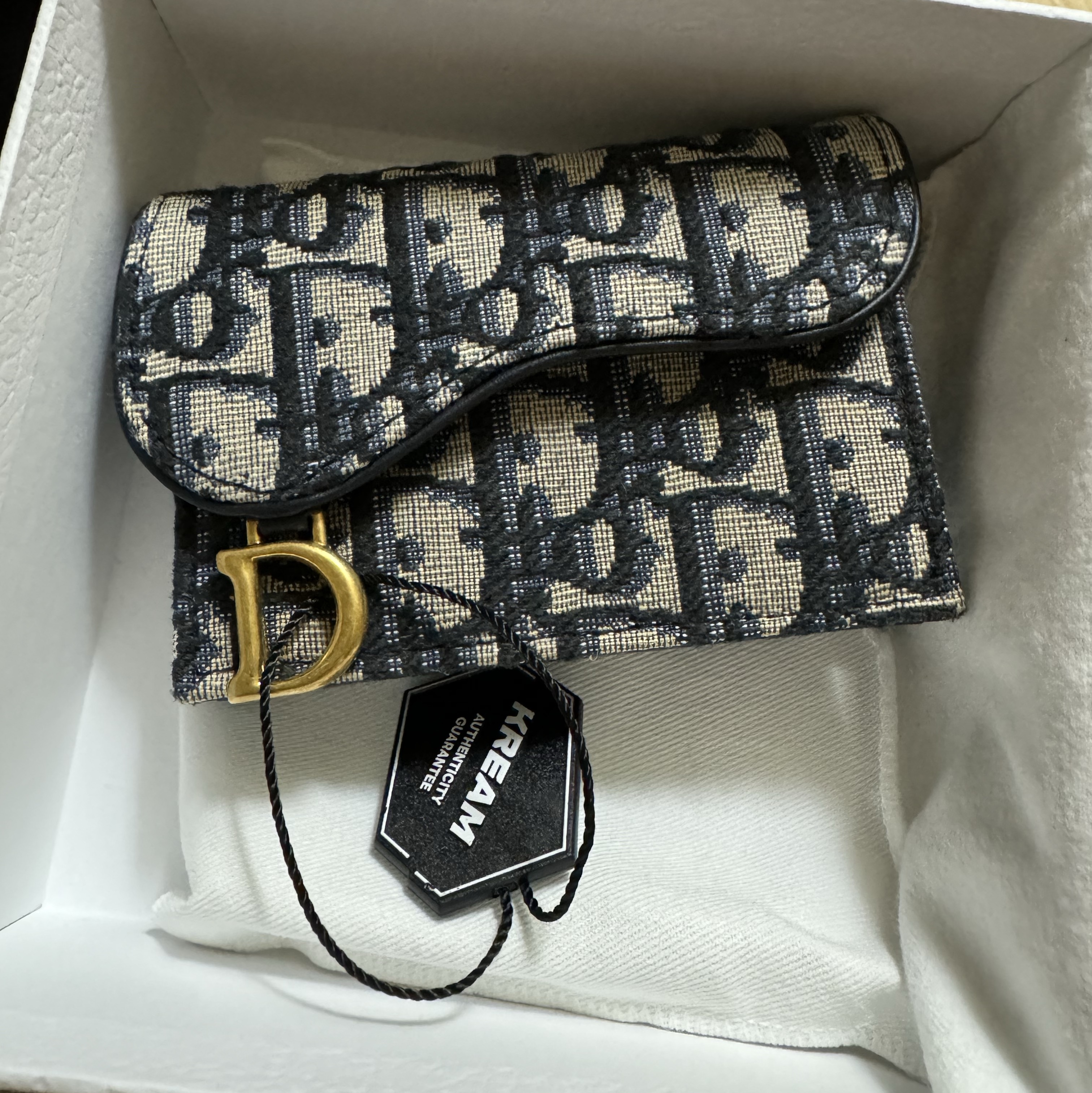 Dior Saddle Flap Card Holder Blue Dior Oblique Jacquard 착용 스타일