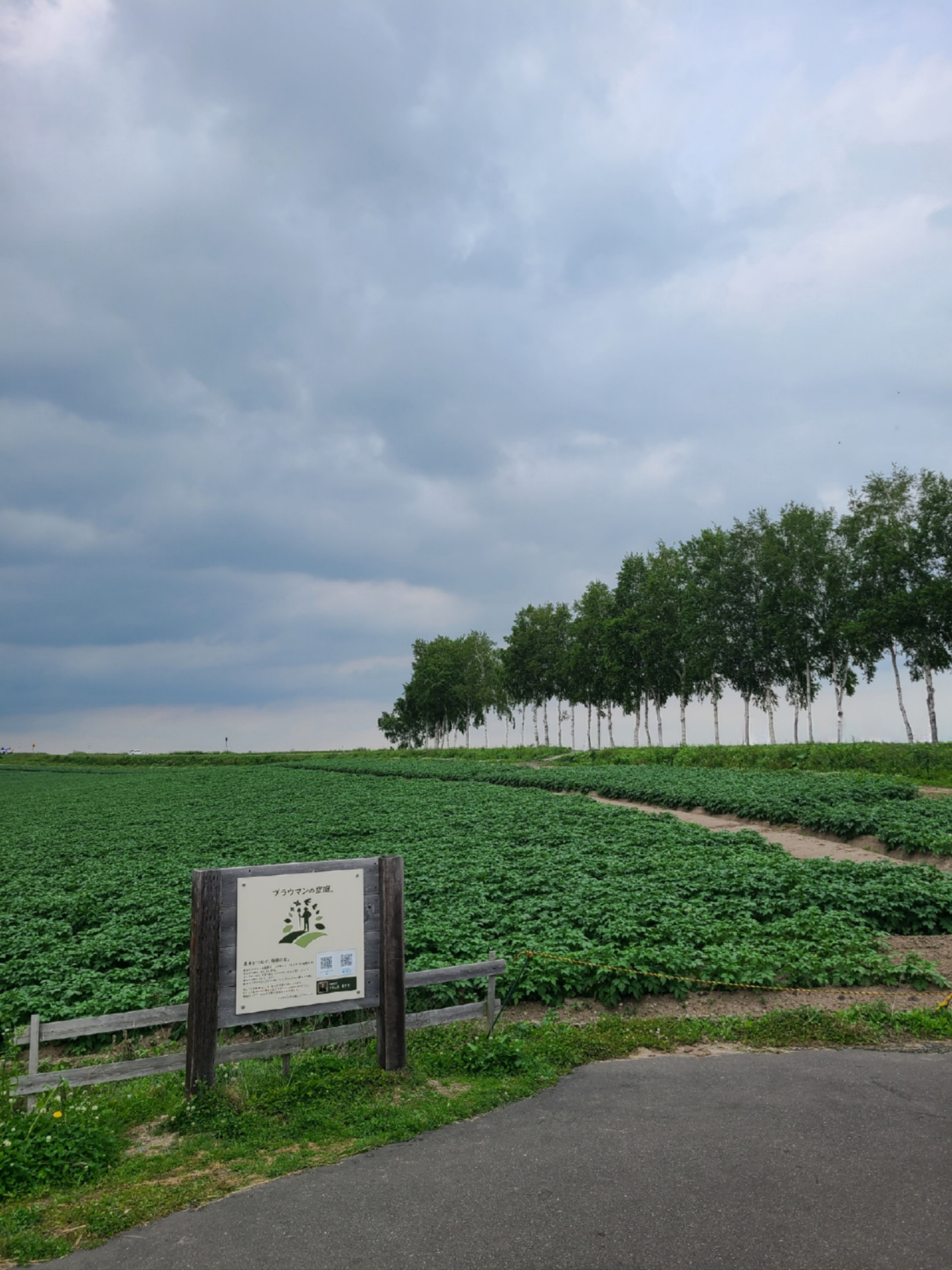 Hall Of Fame님의 스타일 - 3