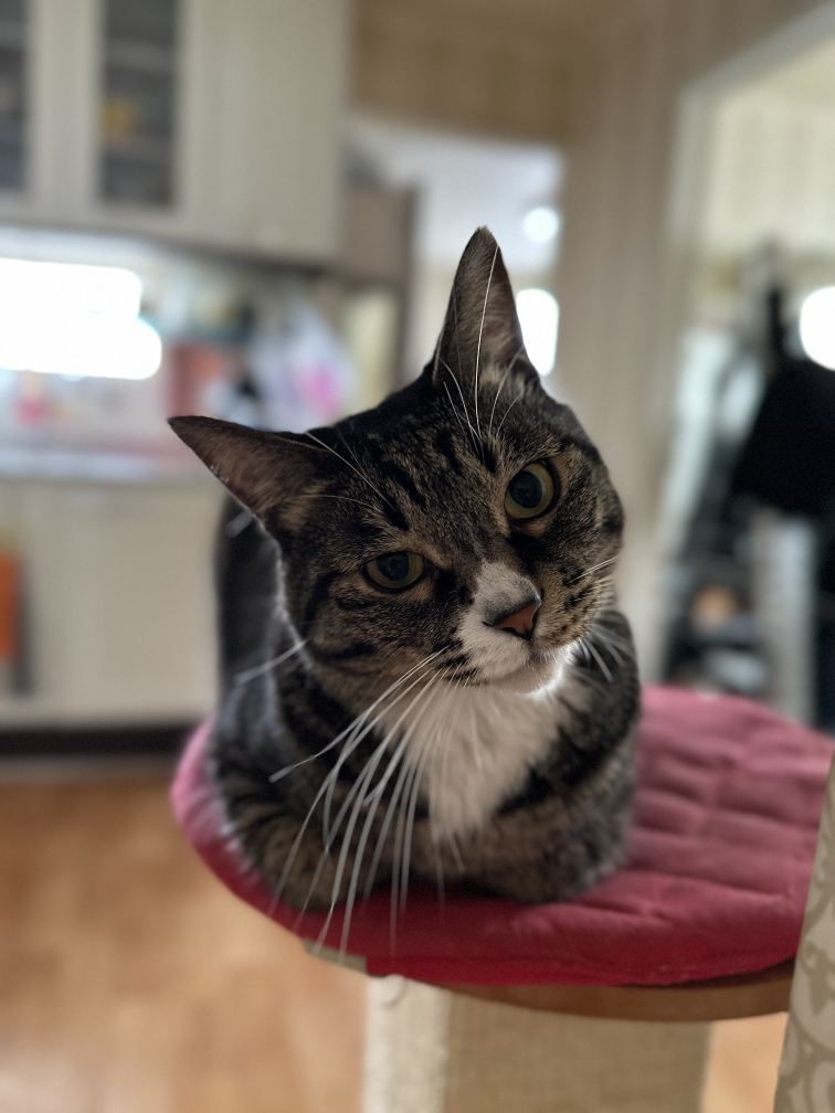 KREAM νλ‘ν μ΄λ―Έμ§