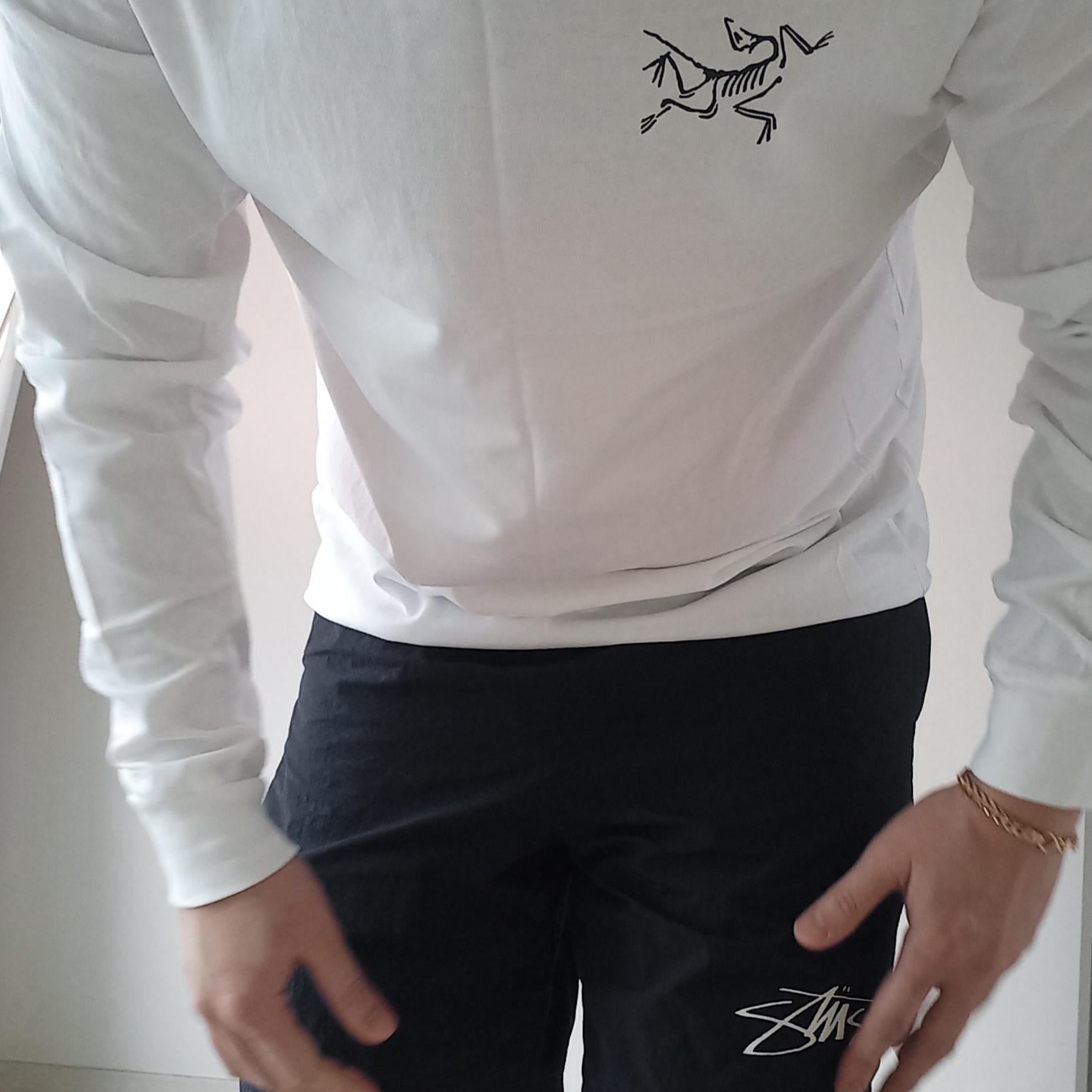 Arc'teryx Arc'Multi Bird Logo LS T-Shirt White Light, Nike x Stussy Shorts Black (FJ9167-010) 착용 스타일 - 2