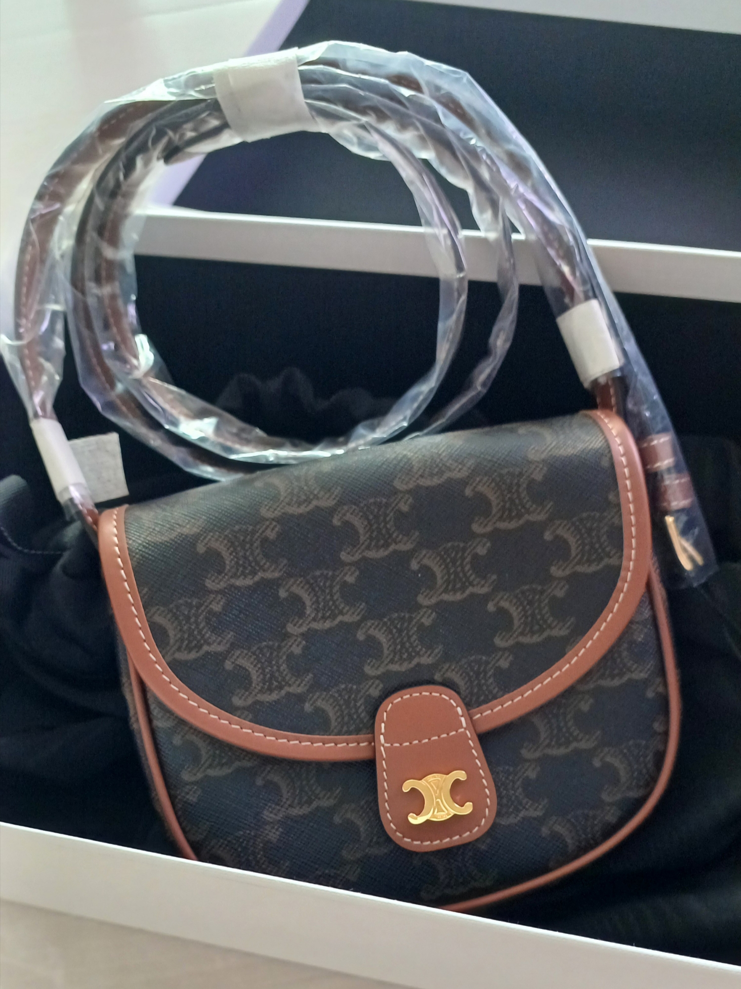 Celine Mini Besace in Triomphe Canvas and Calfskin Tan 착용 스타일