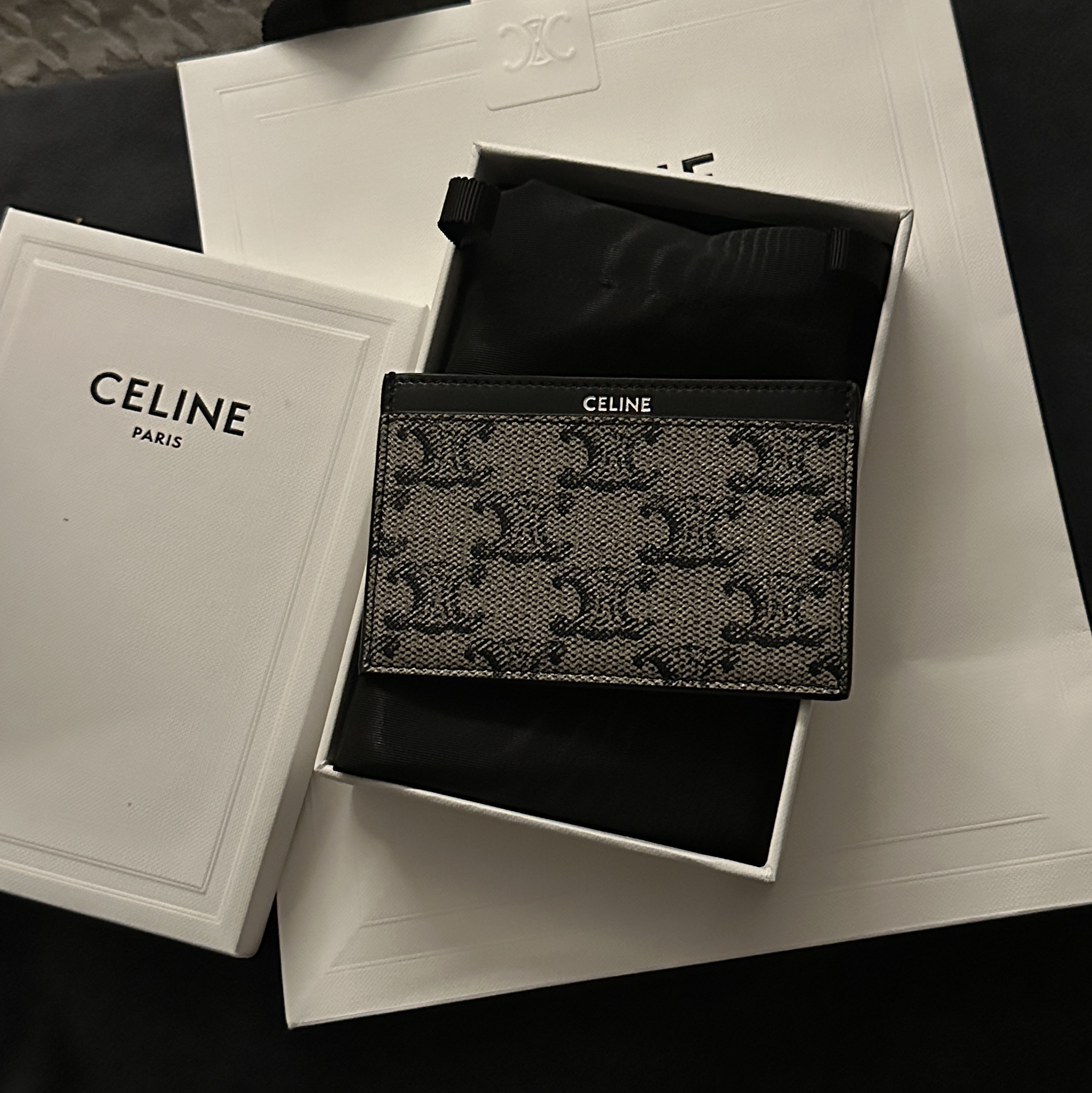 Celine Card Holder in Triomphe Canvas & Calfskin Beige 착용 스타일