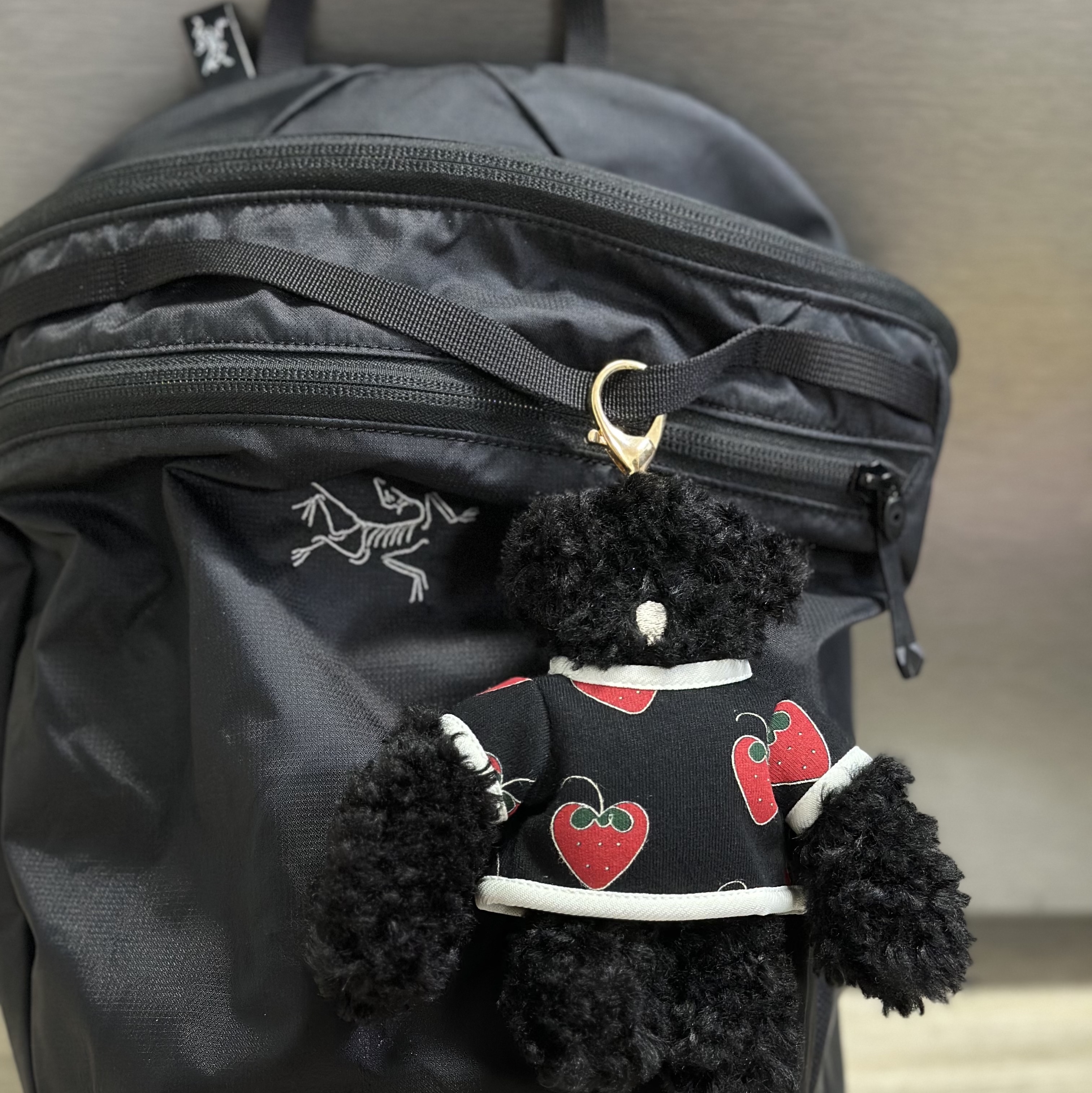 Arc'teryx Heliad 15 Backpack Black 착용 스타일 - 1