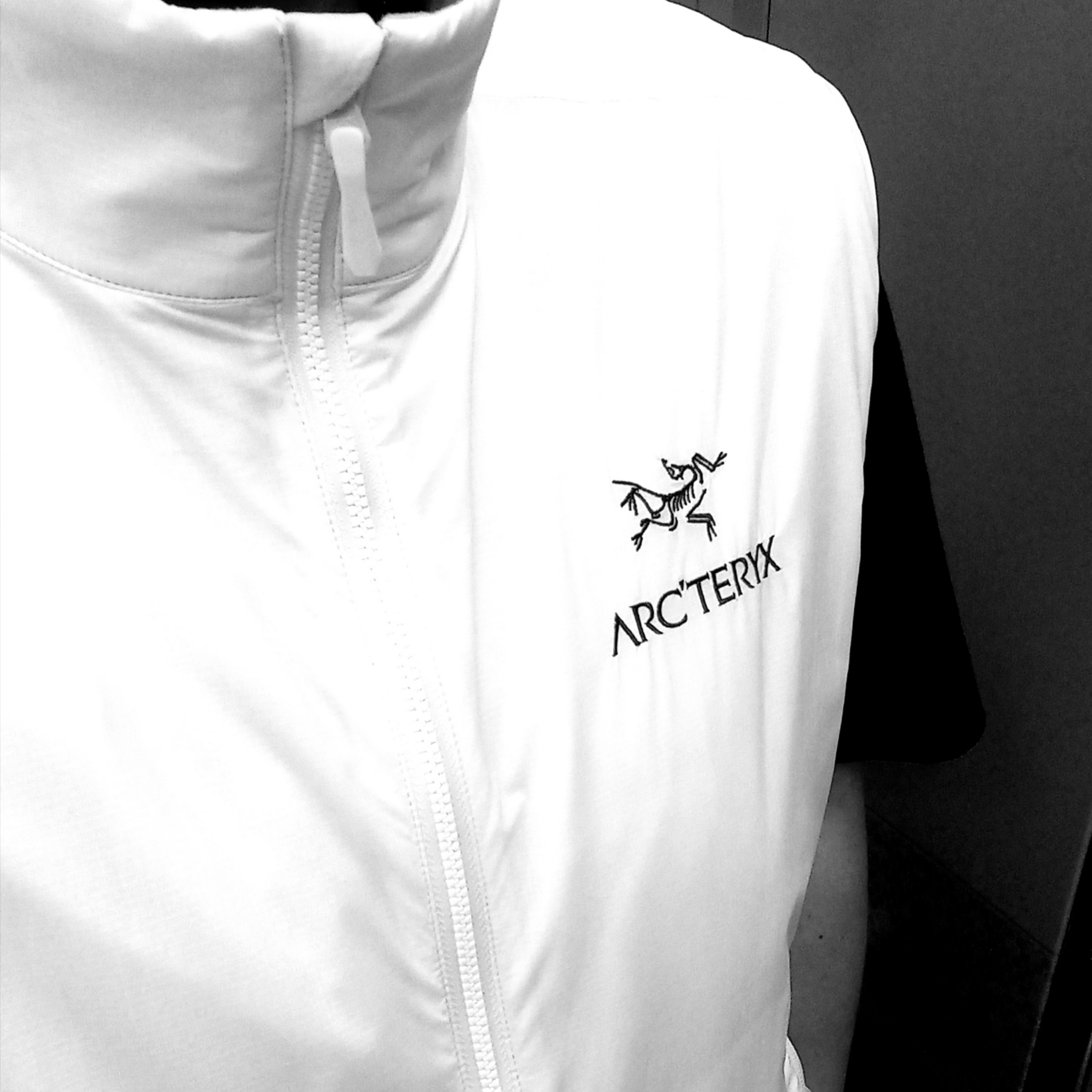 Arc'teryx Atom SL Vest Black, Arc'teryx Arc'Multi Bird Logo SS T-Shirt Black 착용 스타일 - 1