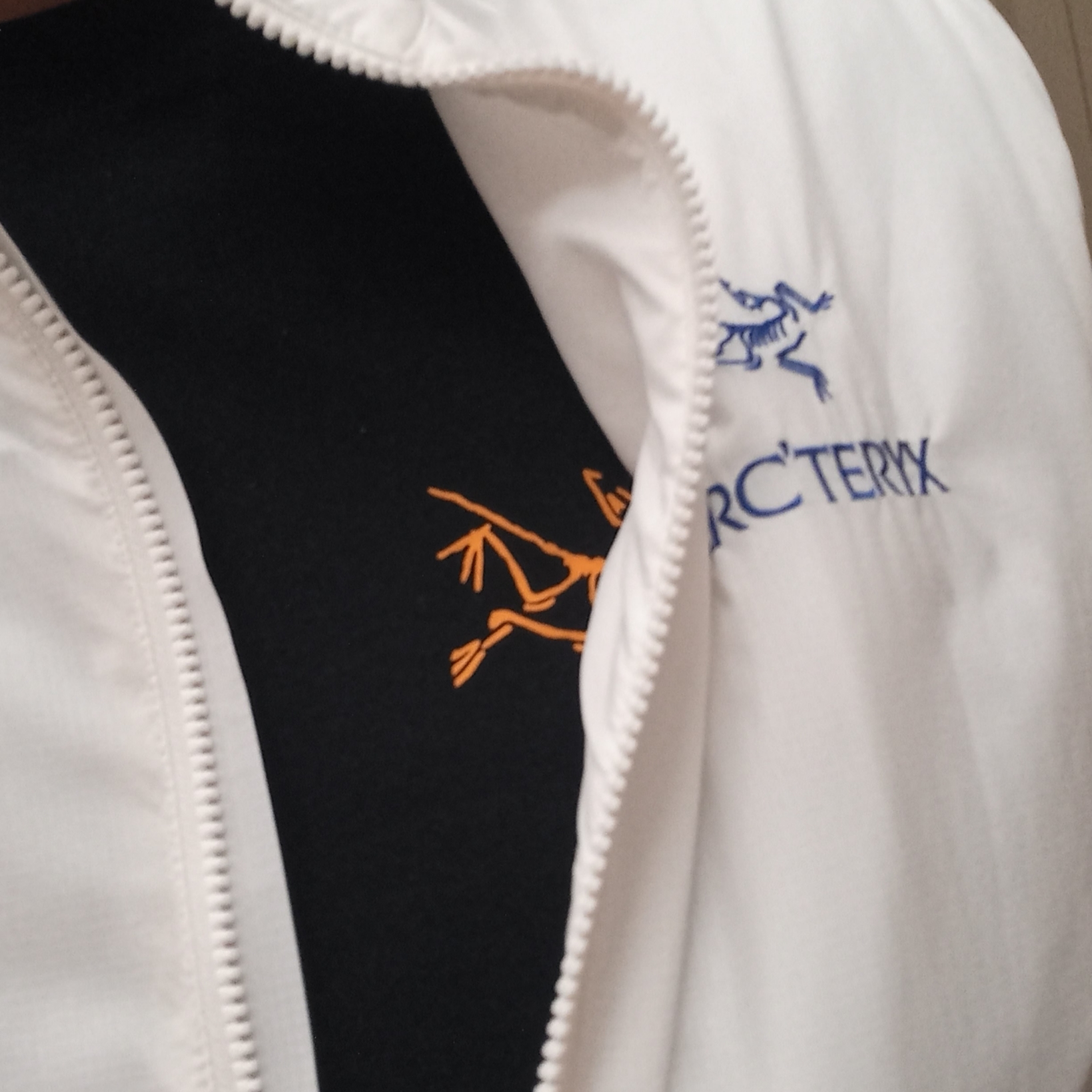 Arc'teryx Atom SL Vest Black, Arc'teryx Arc'Multi Bird Logo SS T-Shirt Black 착용 스타일 - 3