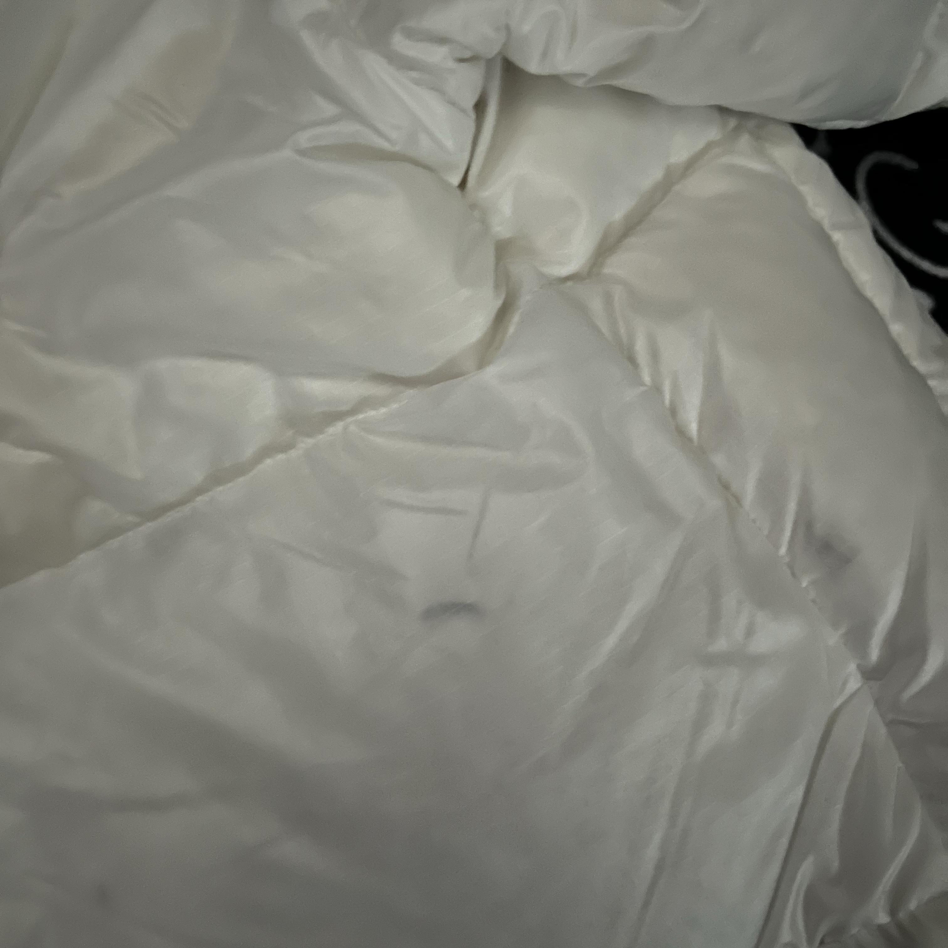 (W) The North Face White Label Nuptse Short Jacket White 착용 스타일 - 2