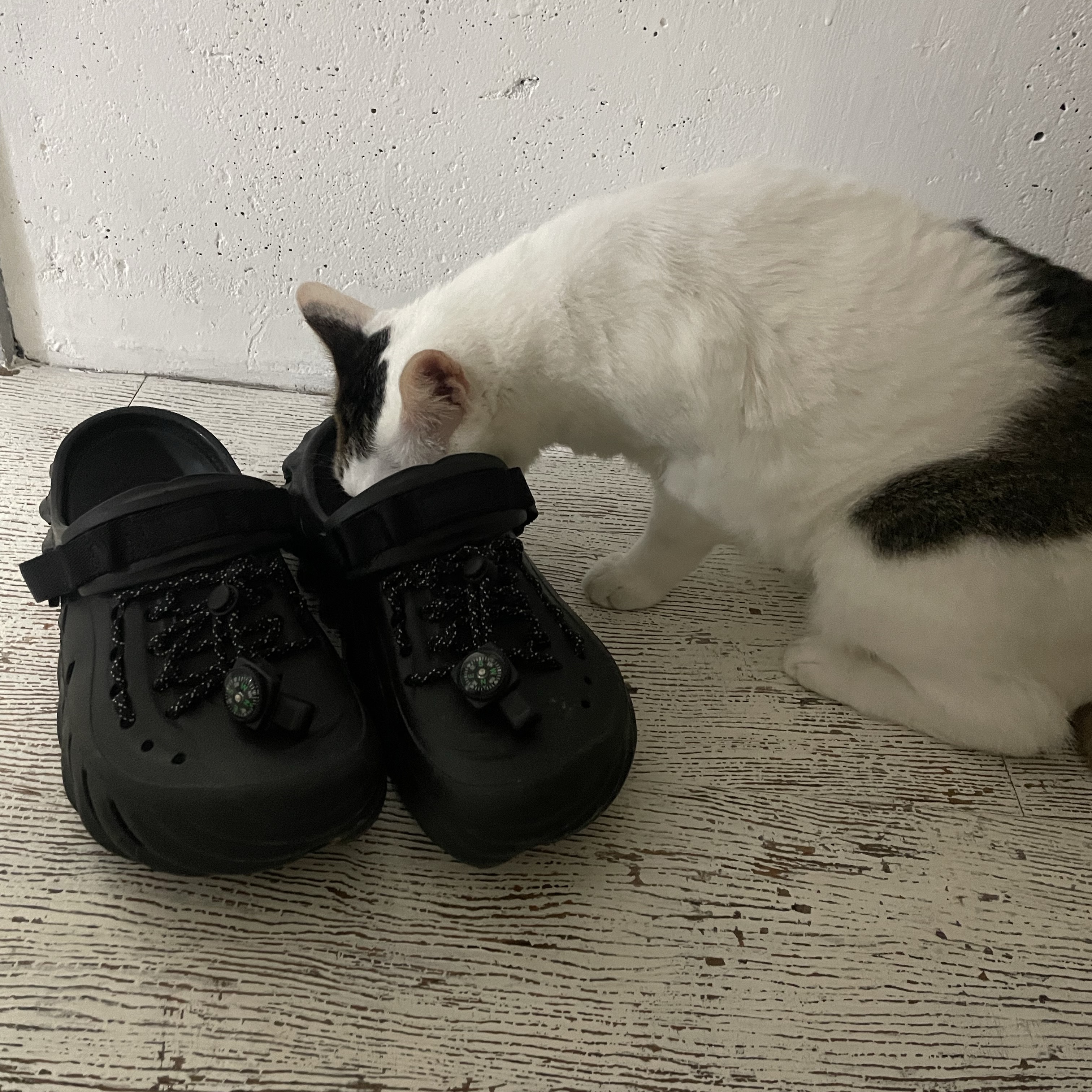 Crocs Echo Clog Black 착용 스타일