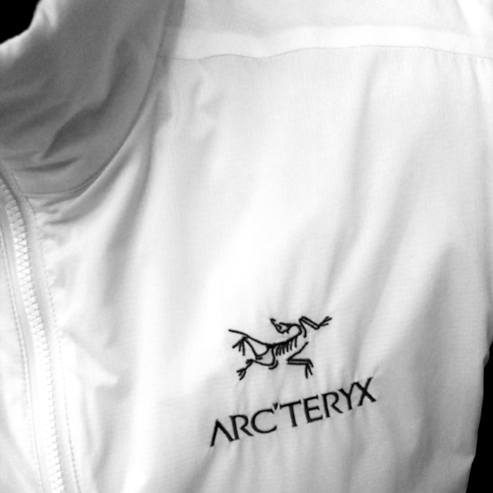 Arc'teryx Atom SL Vest Black, Arc'teryx Arc'Multi Bird Logo SS T-Shirt Black 착용 스타일 - 2