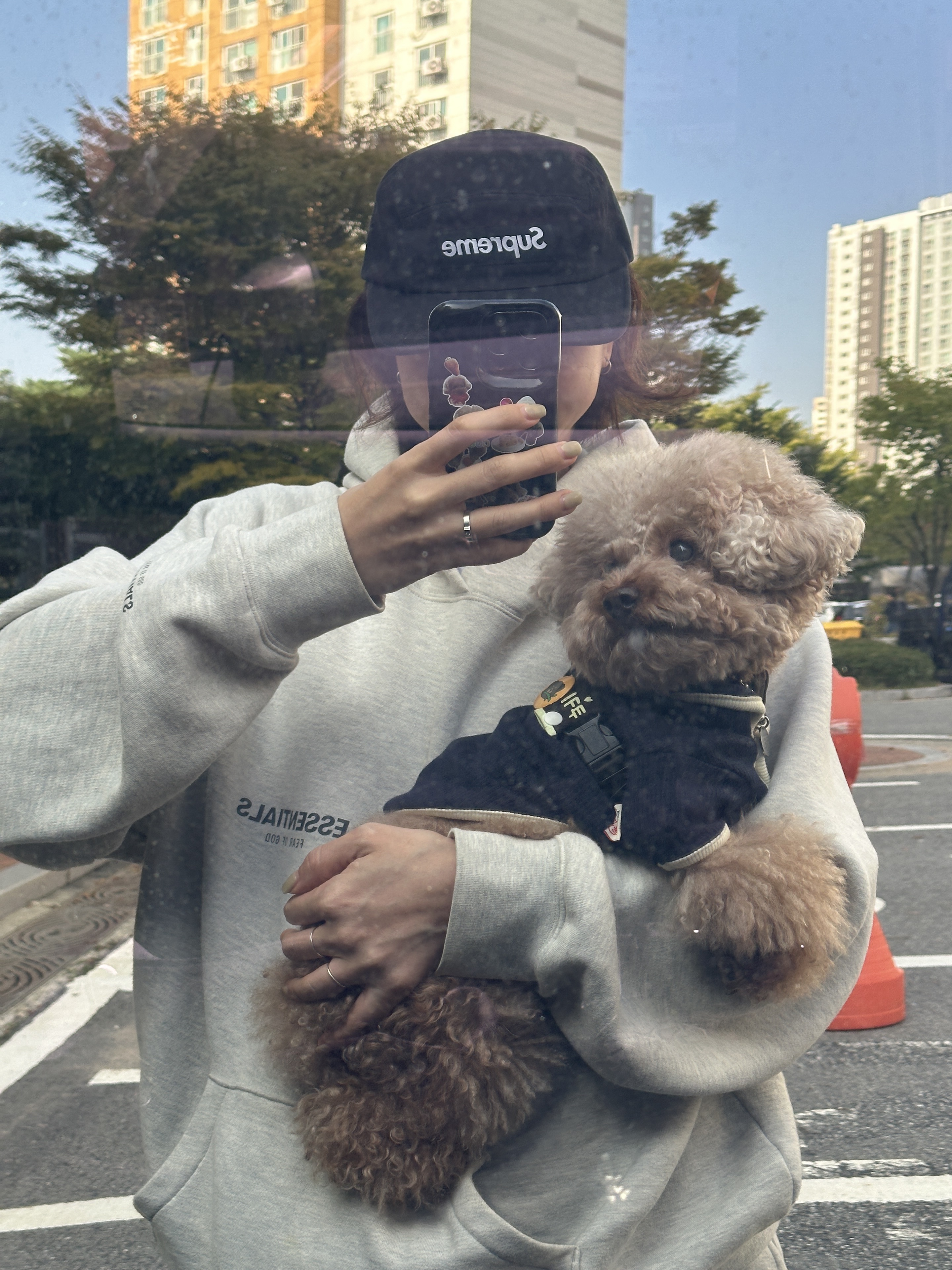 Supreme Washed Chino Twill Camp Cap Black - 24SS, Essentials The Core Collection Pullover Hoodie Oatmeal 착용 스타일