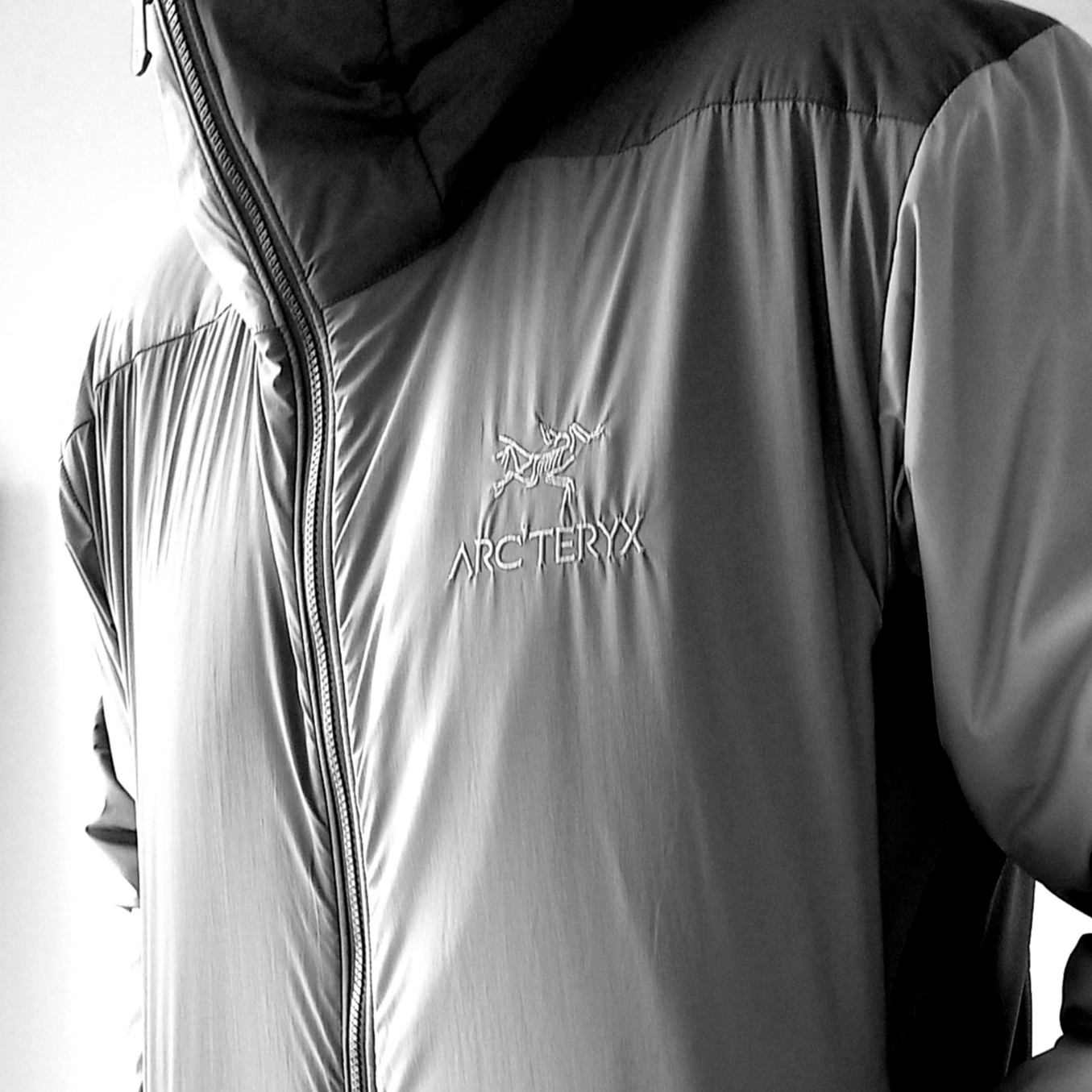 Arc'teryx Atom LT Hoody Tatsu Forage 착용 스타일 - 5