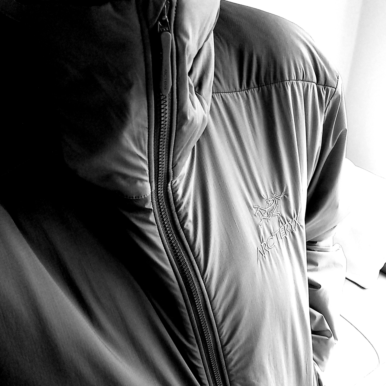 Arc'teryx Atom LT Hoody Tatsu Forage 착용 스타일 - 3