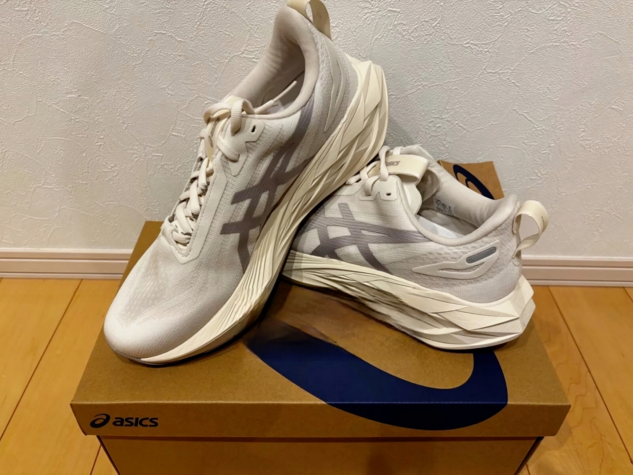 Asics Novablast 4 LE Birch Moonrock, Asics Novablast 4 White Moonrock 착용 스타일