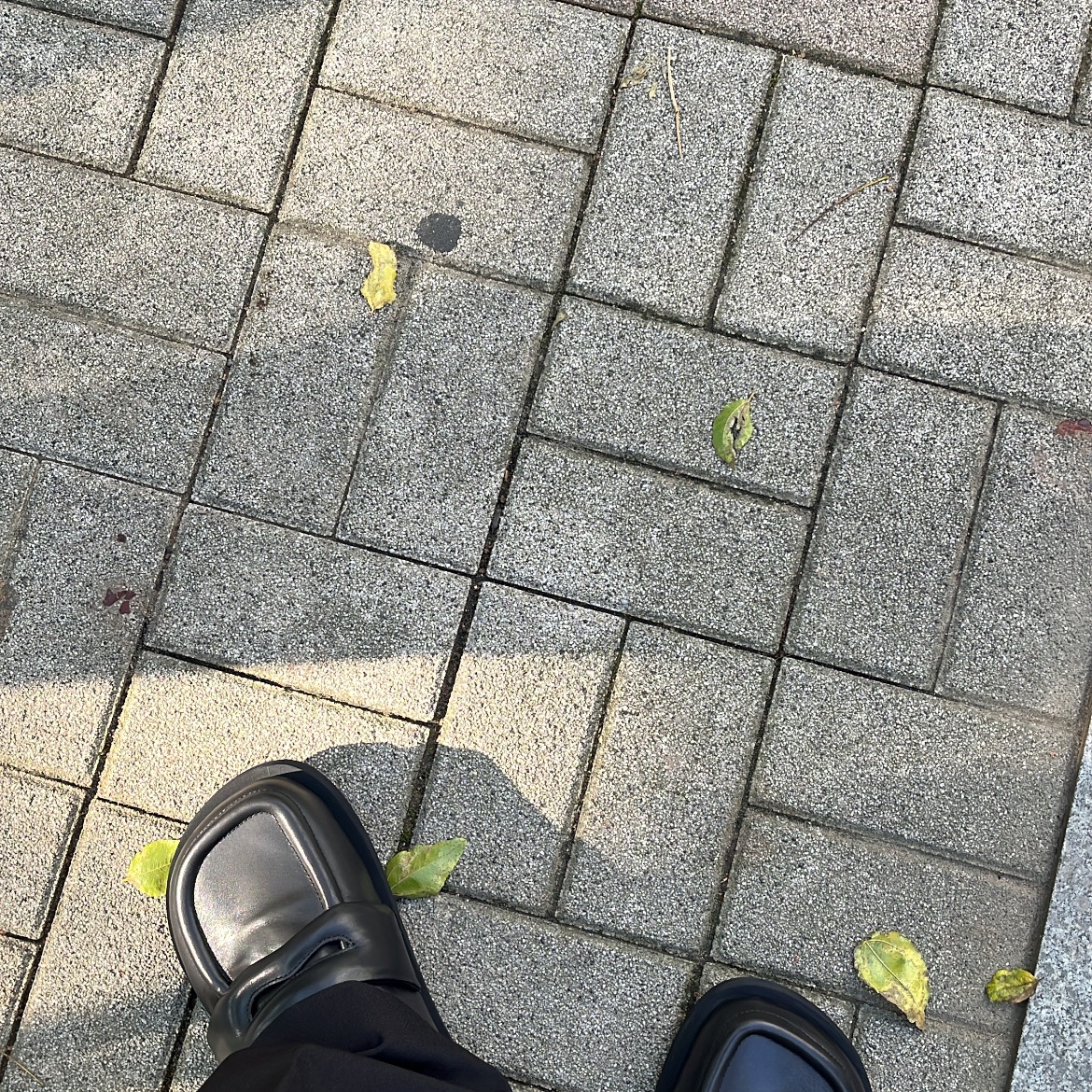 웨잌업필티님의 스타일