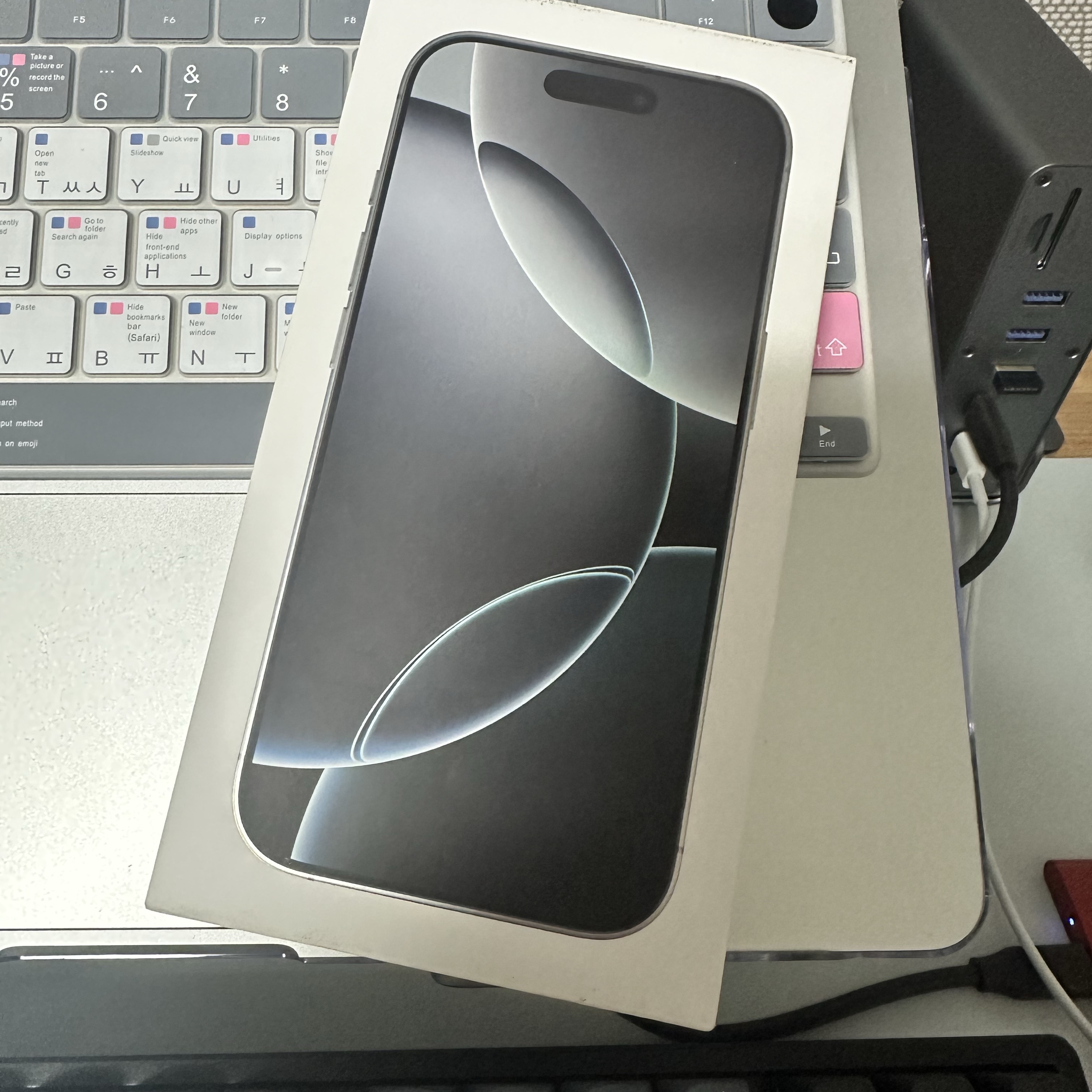 Apple iPhone 16 Pro 256GB White Titanium (Korean Ver.) 착용 스타일