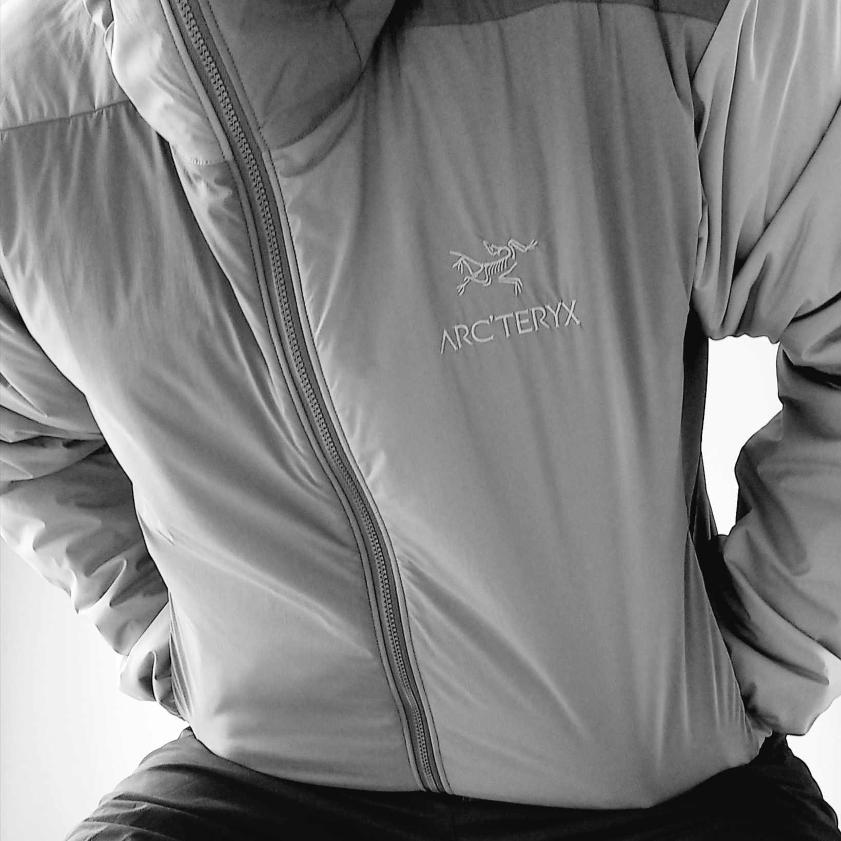 Arc'teryx Atom LT Hoody Tatsu Forage 착용 스타일 - 4