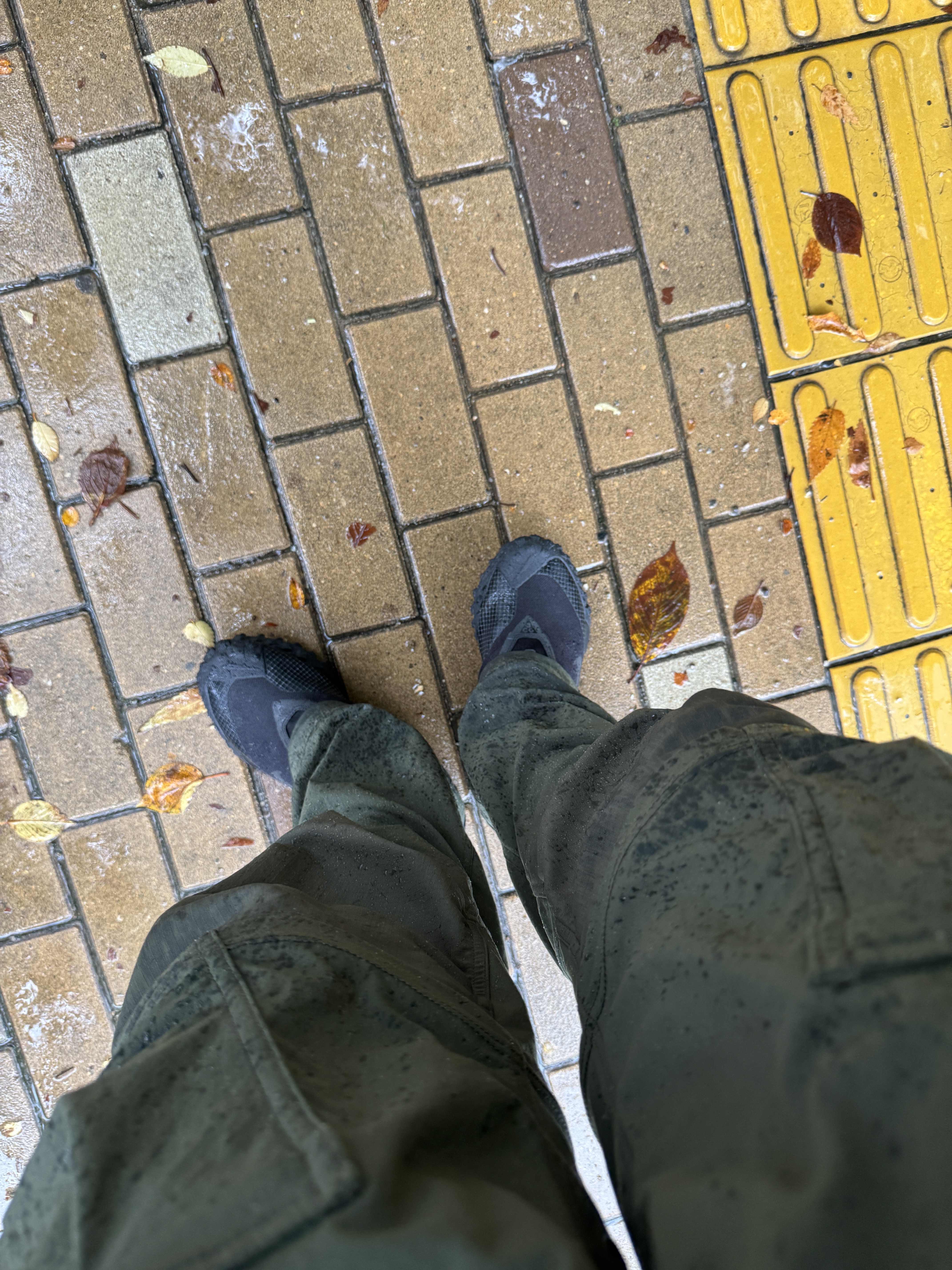Nike ACG Mountain Fly Gore-Tex Black and Dark Grey, Nike ACG Smith Summit Cargo Pants Cargo Khaki - US/EU 착용 스타일