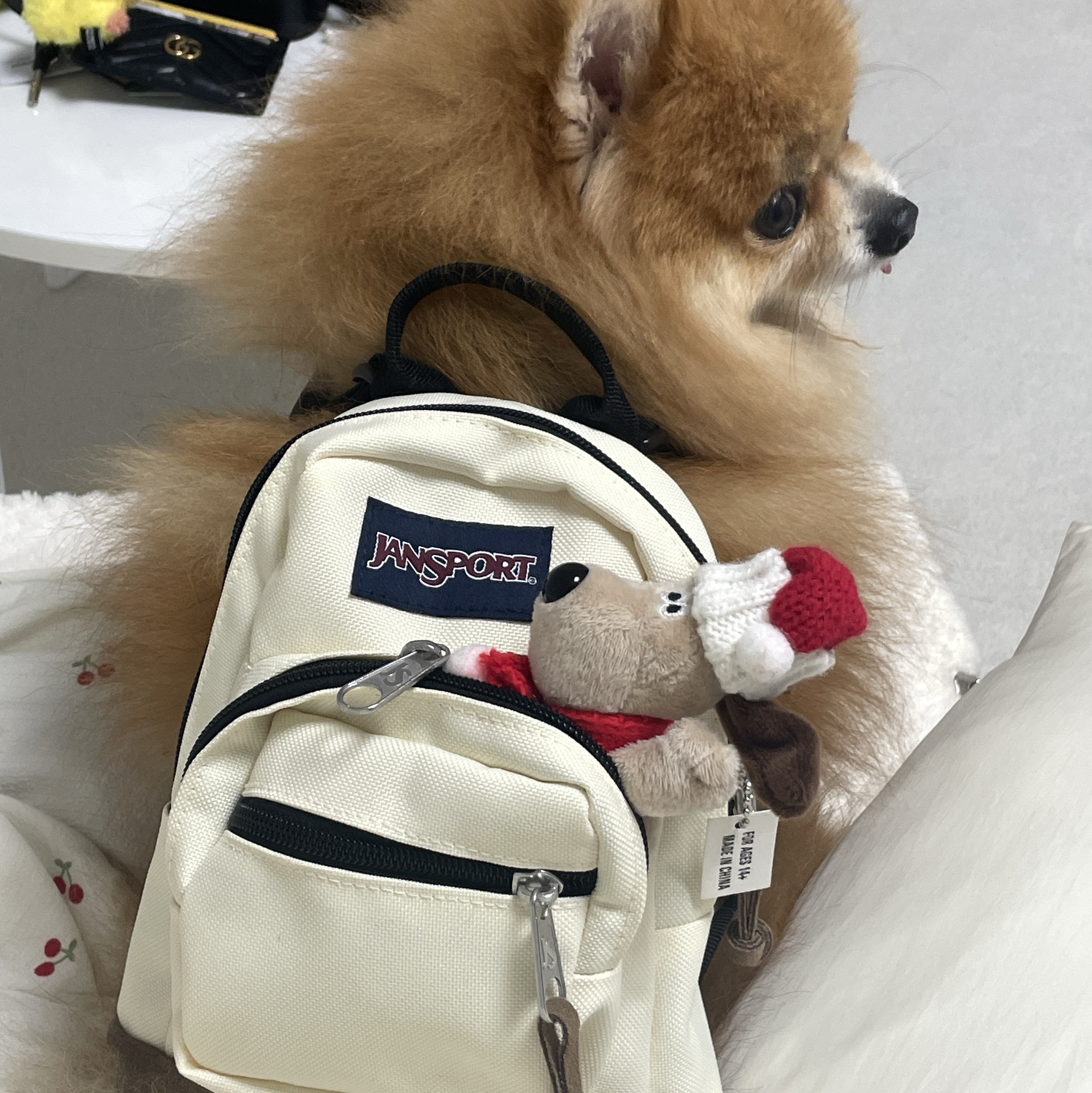 Jansport Right Pack Mini Coconut, Jansport Right Pack Mini Black 착용 스타일 - 1