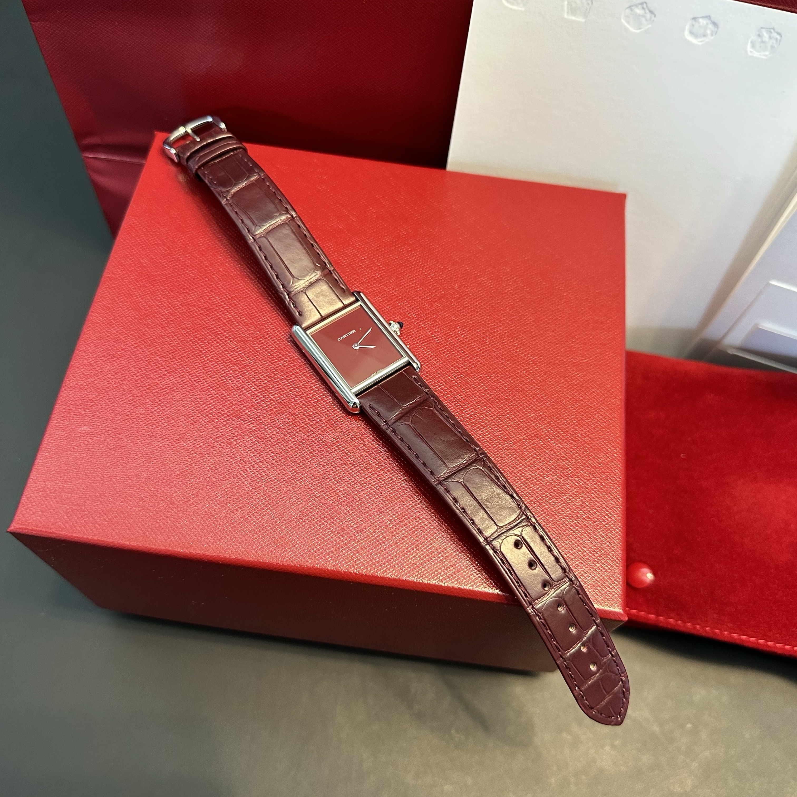 Cartier Tank Must Watch Large Quartz Steel Alligator Skin Claret, Cartier Tank Must Watch Large Quartz Steel Alligator Skin Blue 착용 스타일 - 8