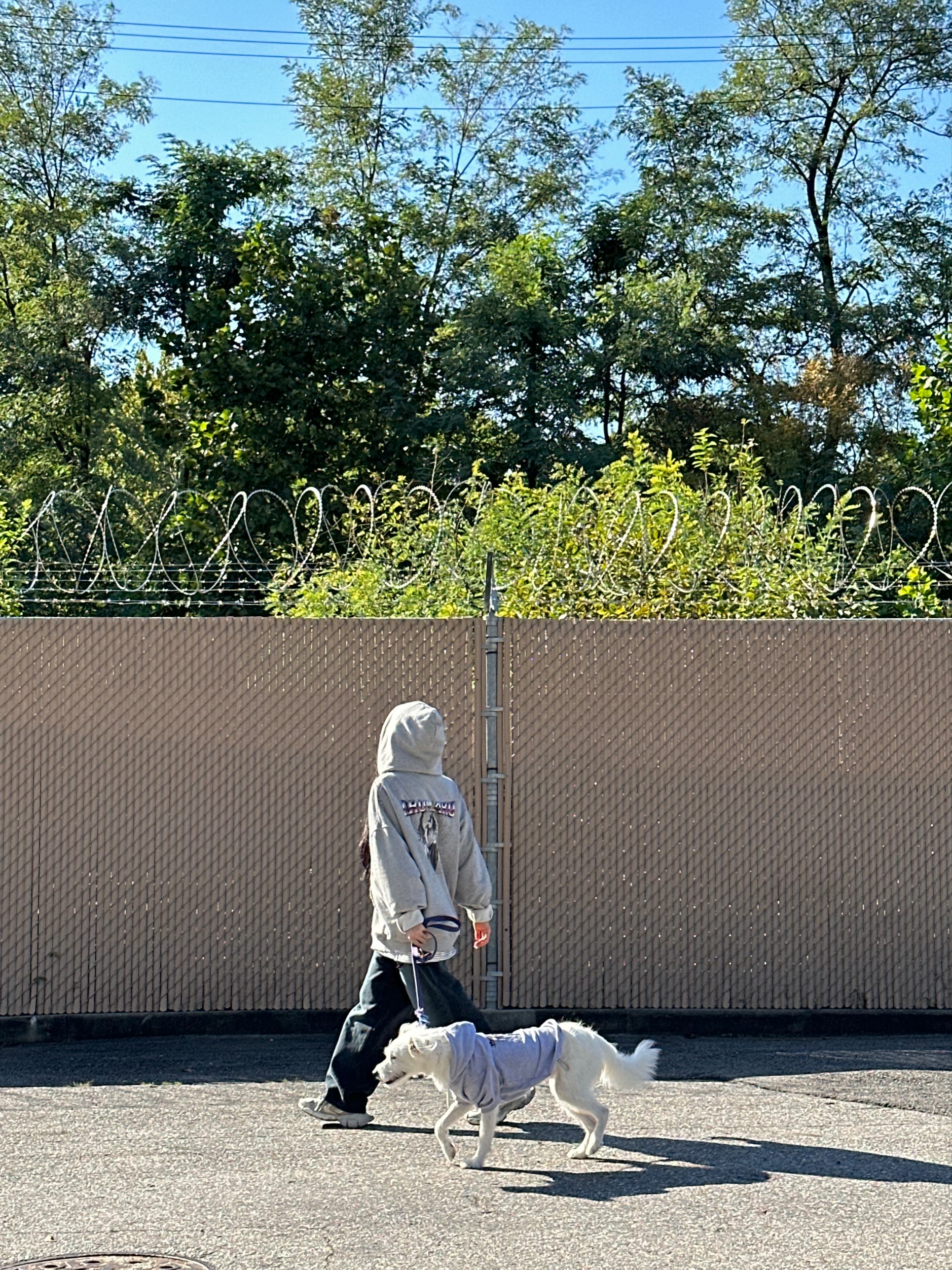 Balenciaga 3XL Sneakers Light Beige 착용 스타일 - 2