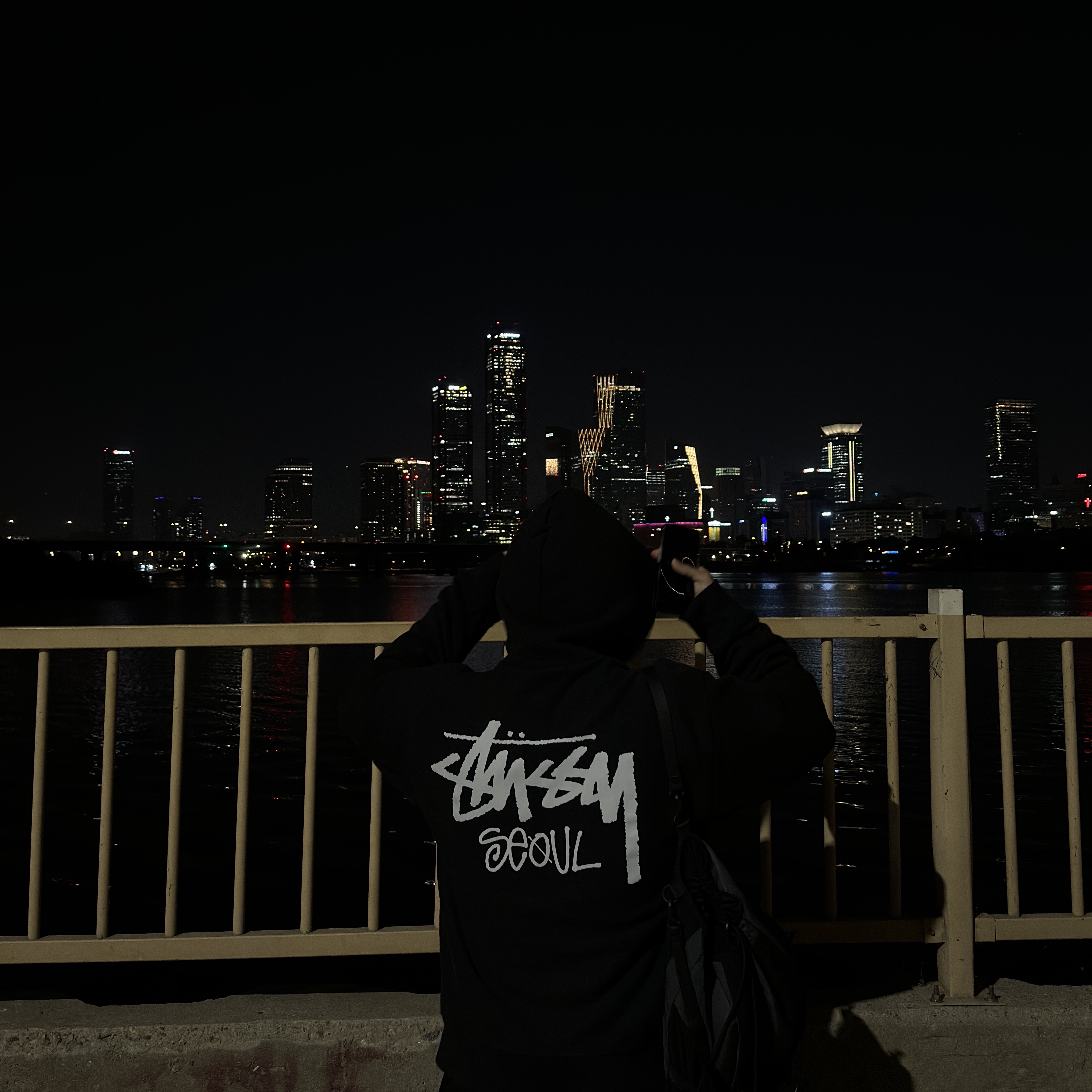 Stussy Stock Seoul Zip Hood Black 착용 스타일