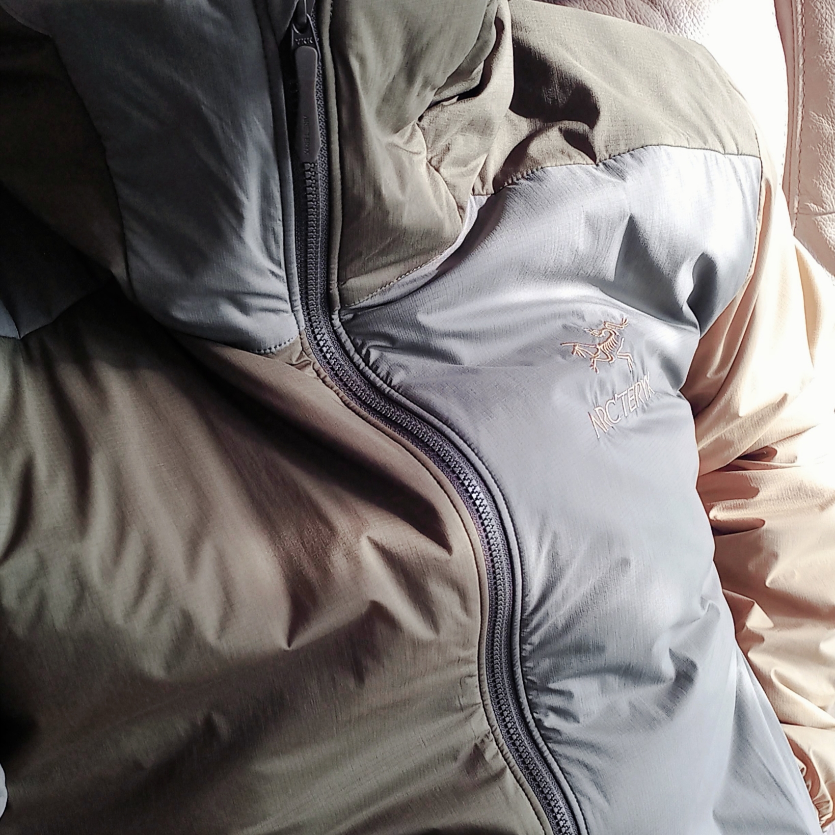 Arc'teryx Atom LT Hoody Tatsu Forage 착용 스타일 - 2