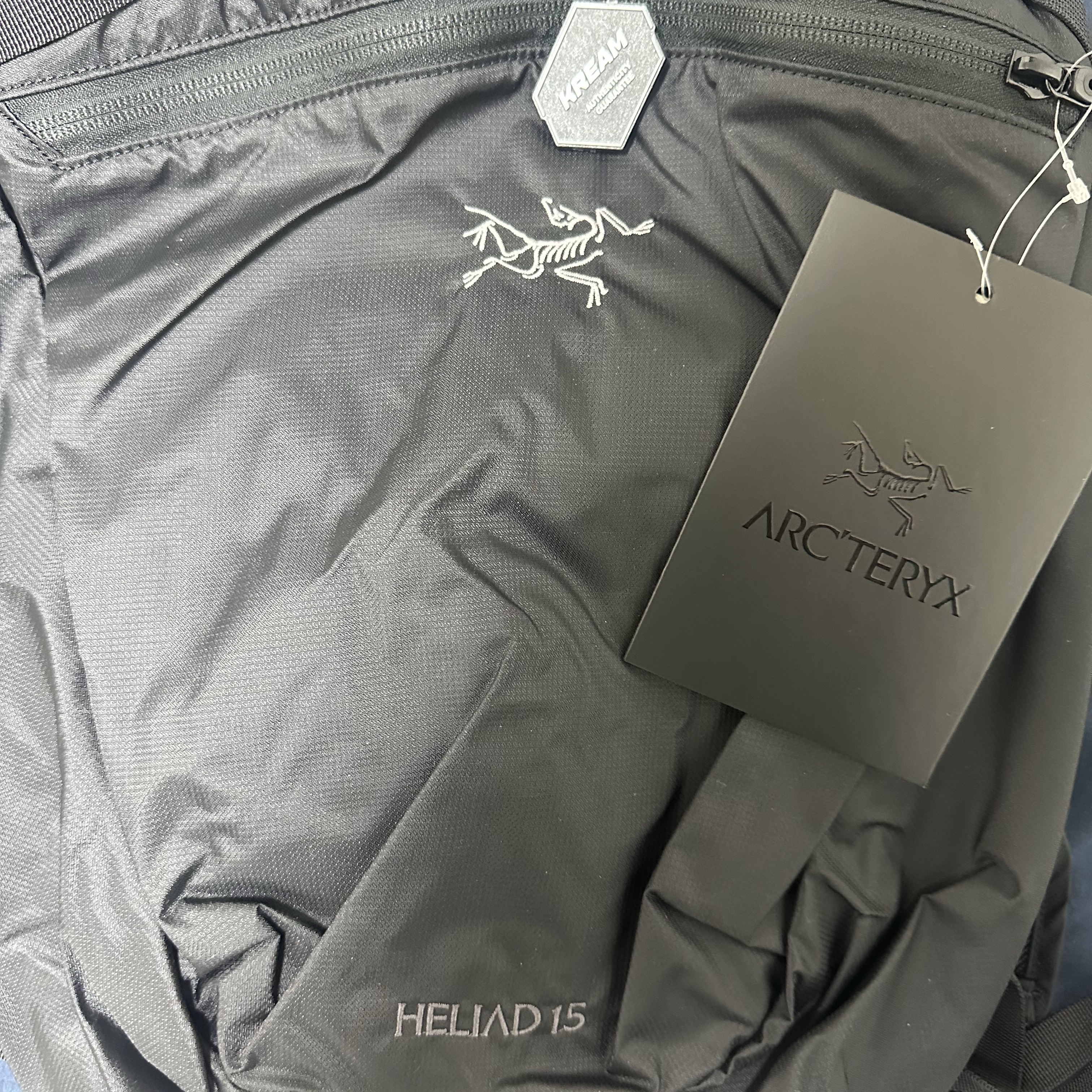Arc'teryx Heliad 15 Backpack Black 착용 스타일