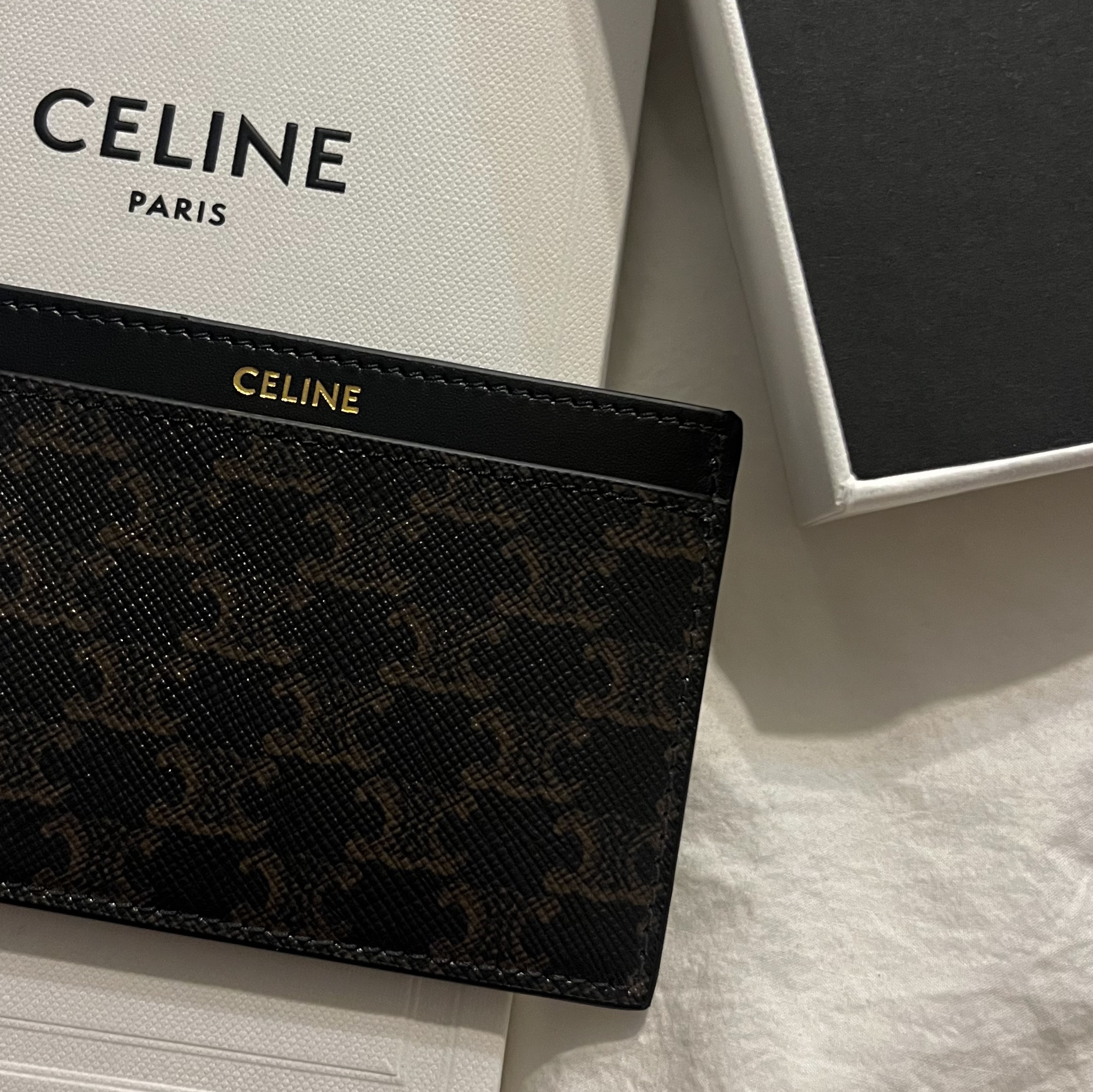 Celine Card Holder in Triomphe Canvas and Calfskin Black 착용 스타일