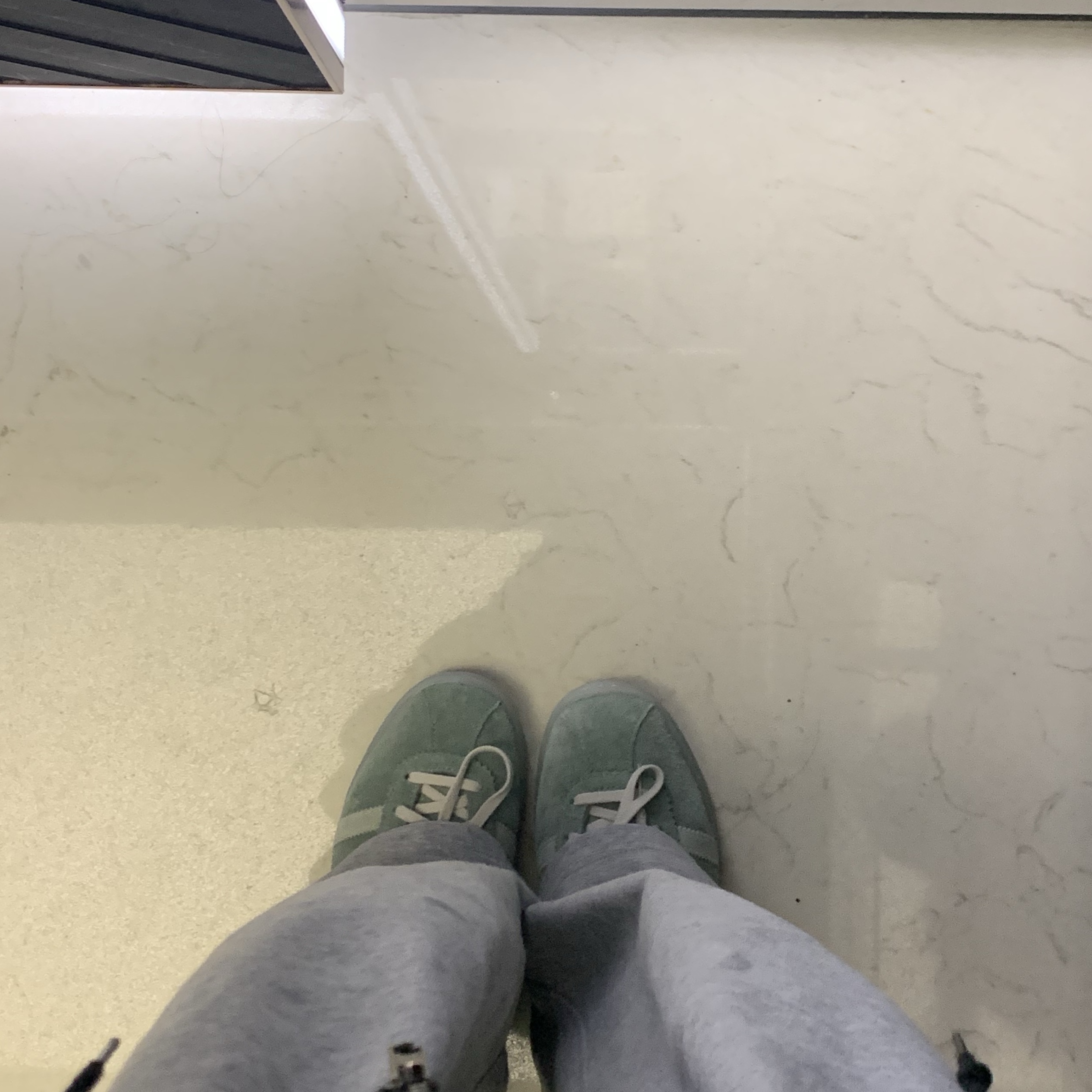 Adidas Tobacco Silver Green Pantone 착용 스타일 - 1
