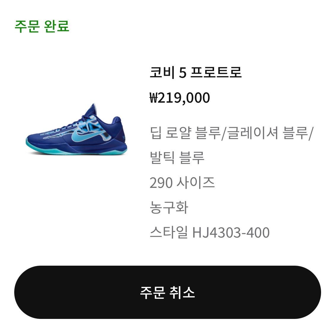 Nike Kobe 5 Protro Deep Royal Blue 착용 스타일