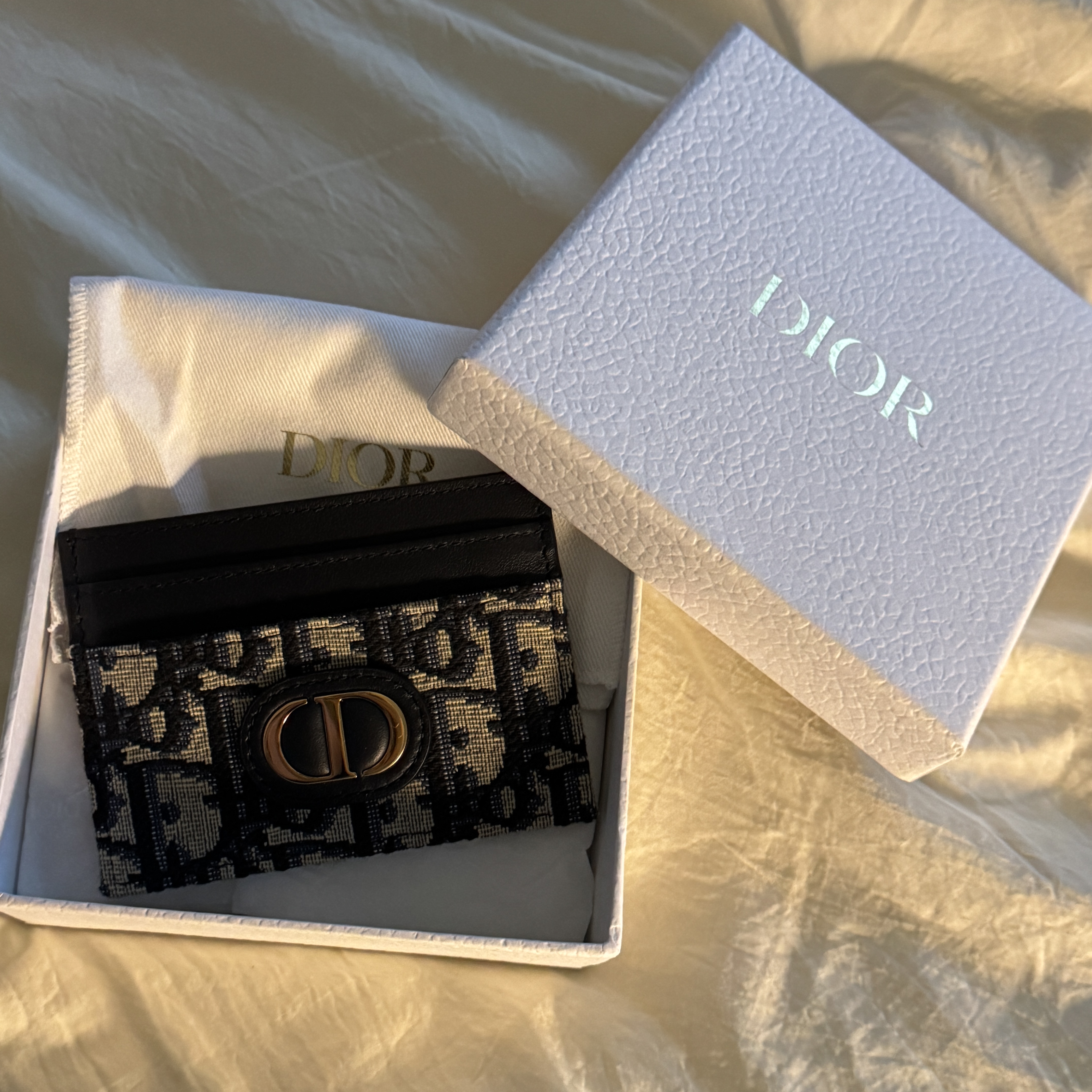 Dior 30 Montaigne Five Slot Card Holder Blue Dior Oblique Jacquard 착용 스타일