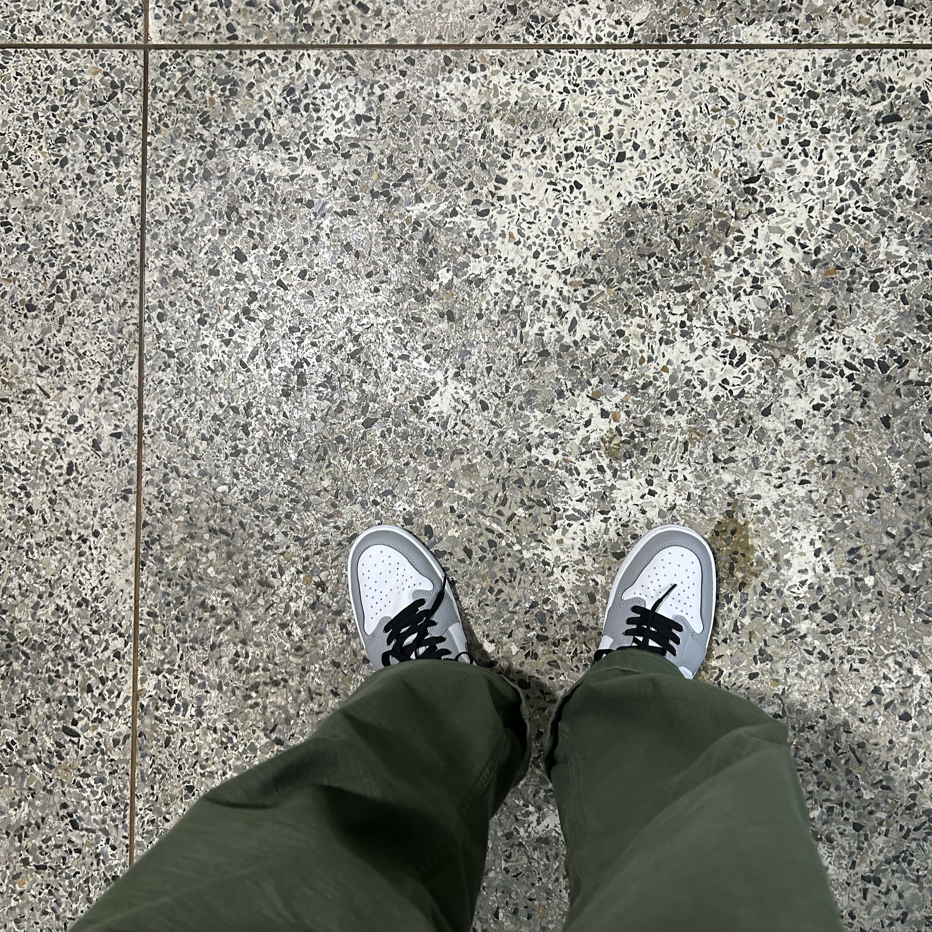 Jordan 1 Retro Low OG Wolf Grey and White 착용 스타일