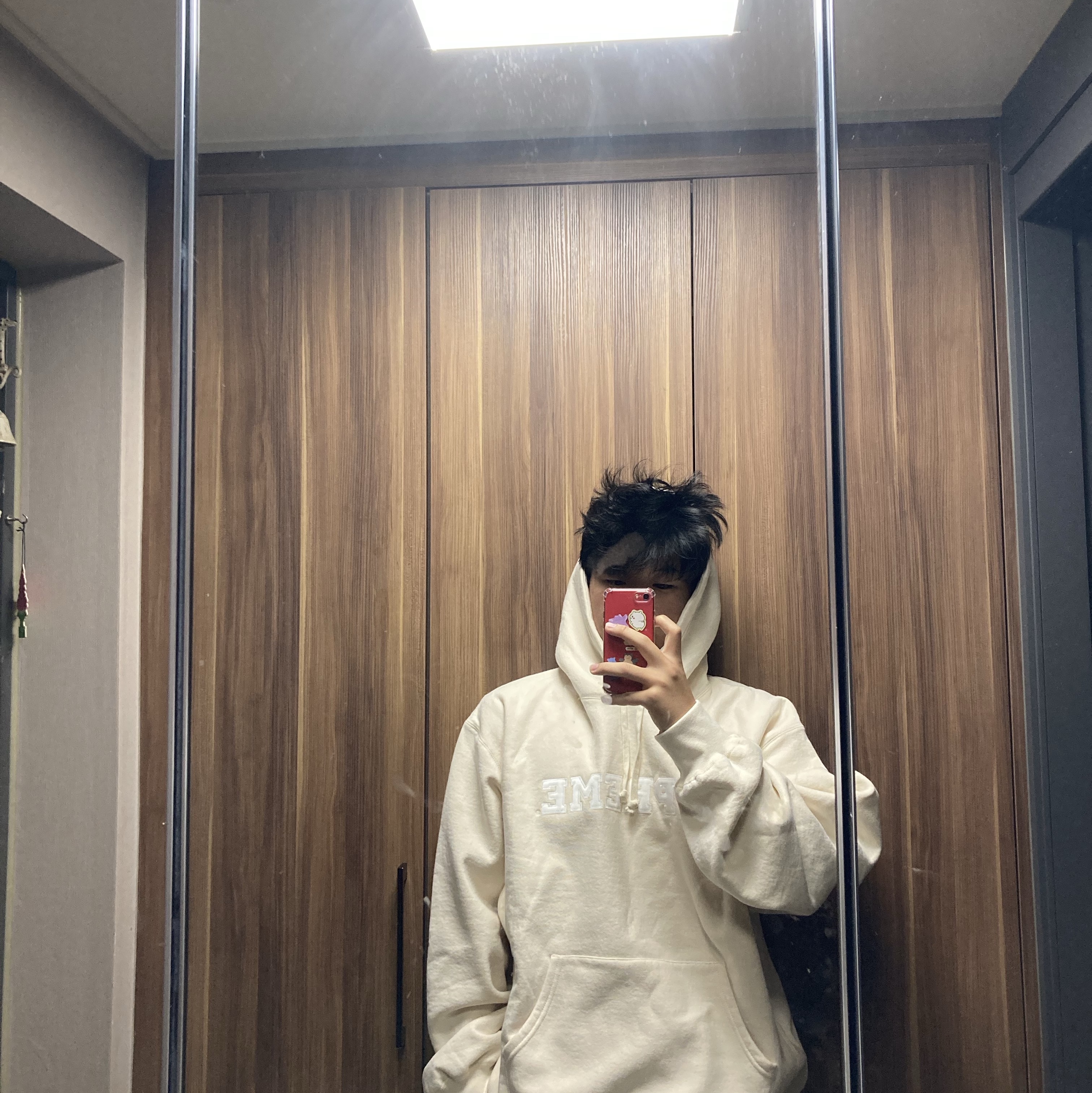 Supreme Collegiate Hooded Sweatshirt Natural - 24SS, Apple iPhone SE 3rd Gen 64GB Red (Korean Ver.) 착용 스타일