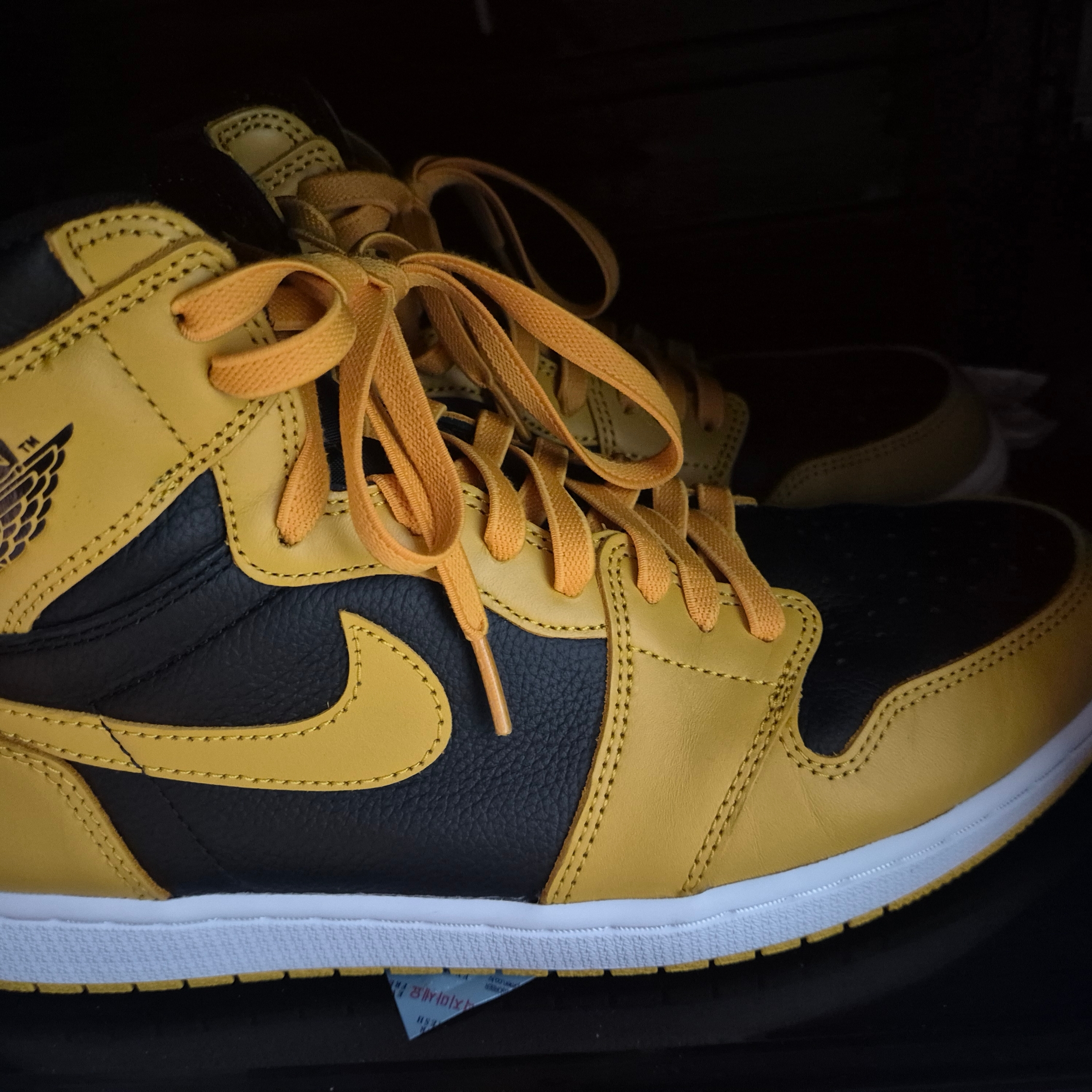 Jordan 1 Retro High OG Pollen 착용 스타일