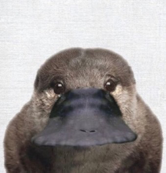 관심 유저 프로필 이미지