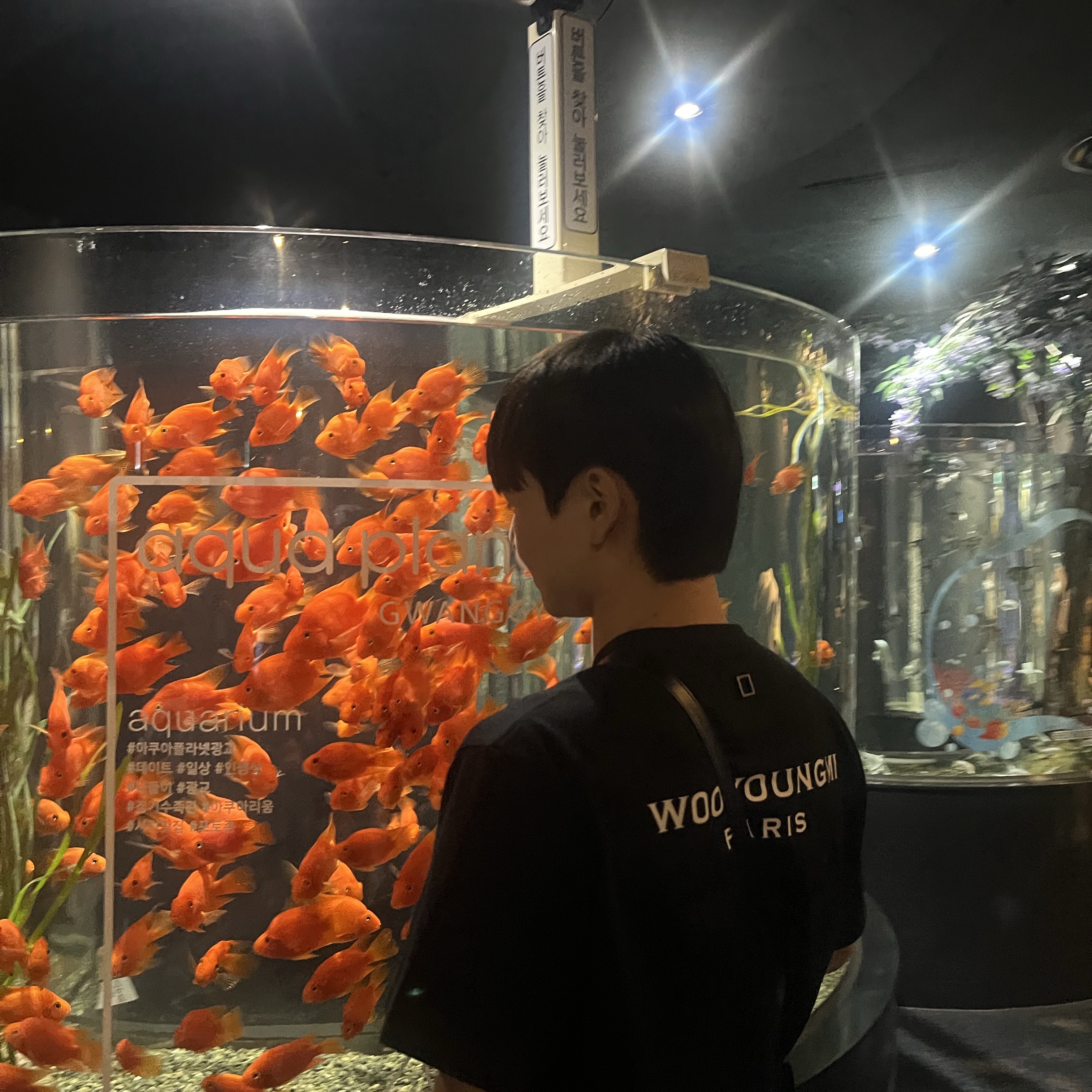 Wooyoungmi Cotton Back Logo T-Shirt Black - 24SS 착용 스타일 - 2