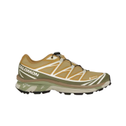 Salomon XT-6 GTX Antelope Icicle