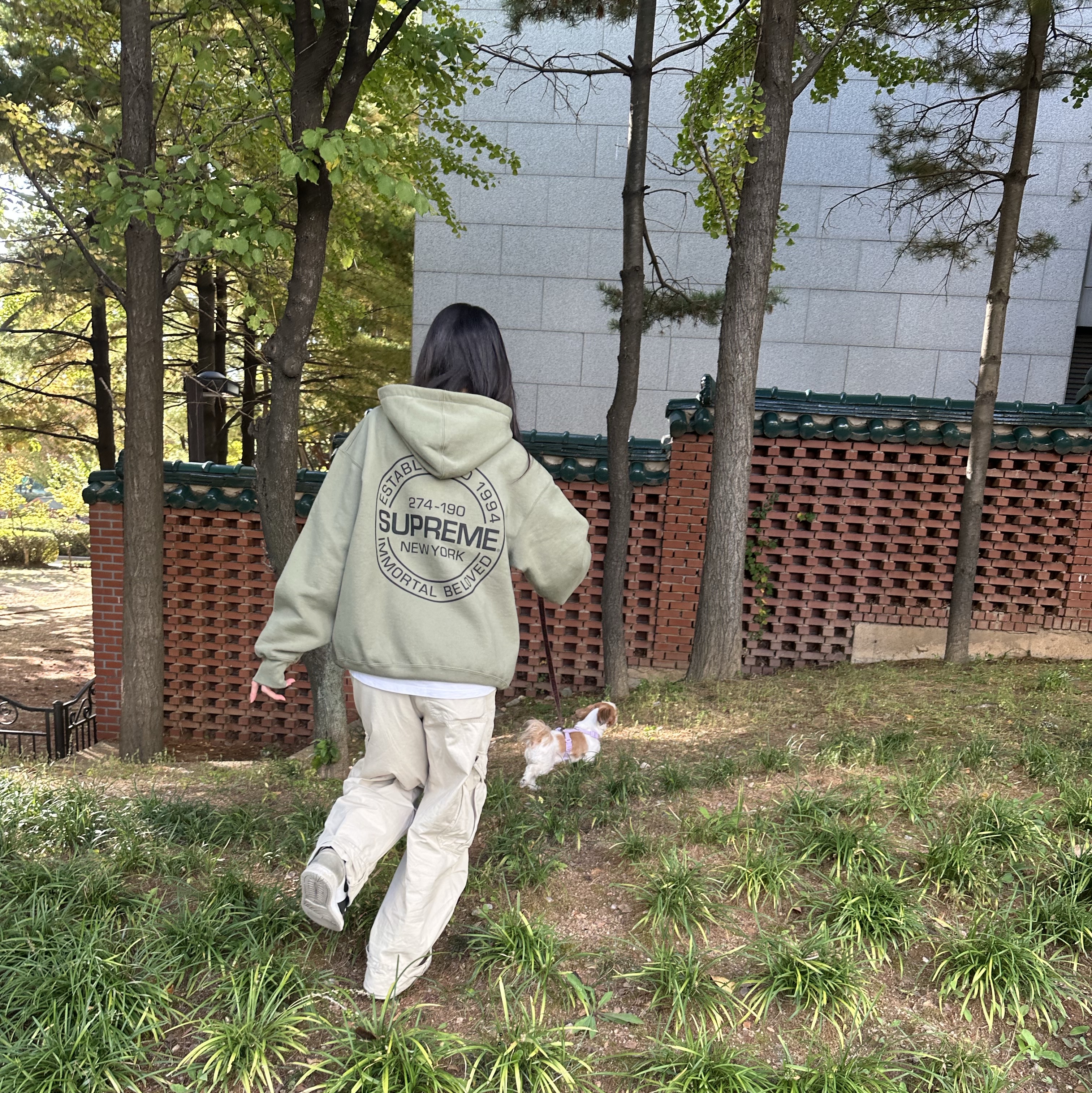 Supreme Immortal Hooded Sweatshirt Light Olive - 24SS, (GS) Jordan 1 Retro High OG Bleached Coral 착용 스타일 - 2