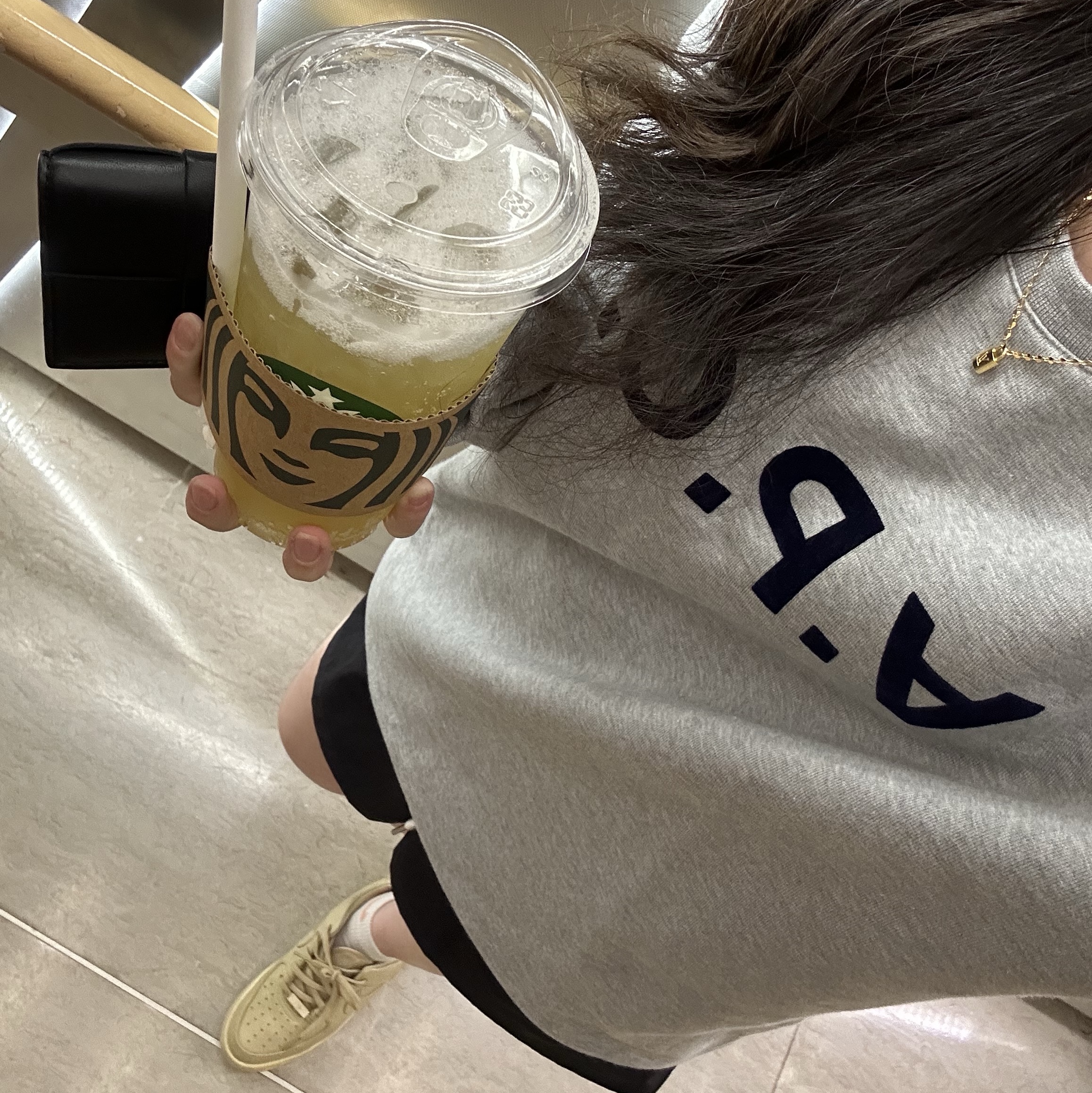(W) A.P.C. VPC Viva Sweatshirt Heather Grey, Bottega Veneta Cassette Business Card Case Black 착용 스타일