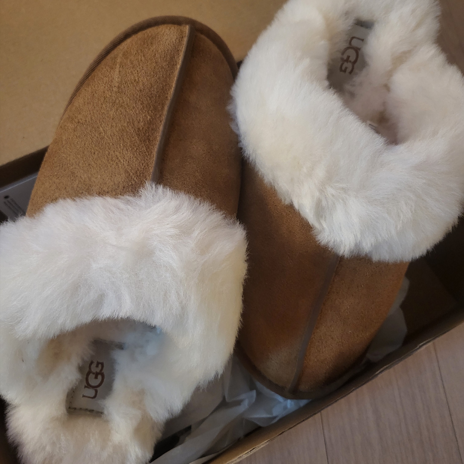 (W) UGG Disquette Slipper Chestnut 착용 스타일