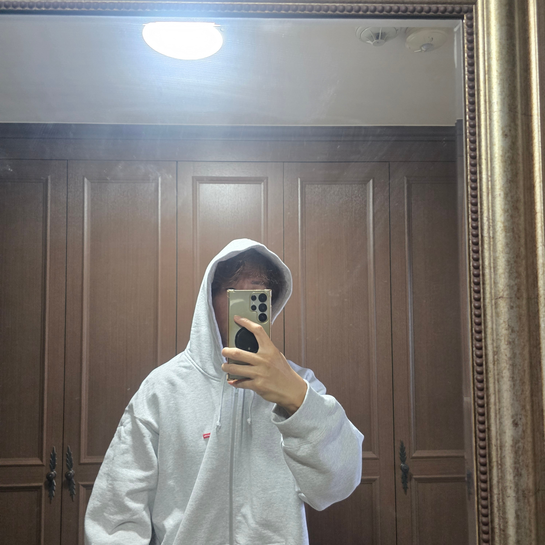 Supreme Small Box Zip Up Hooded Sweatshirt Ash Grey - 24FW 착용 스타일